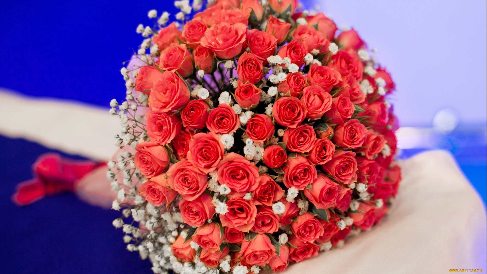 цветы, розы, розочки