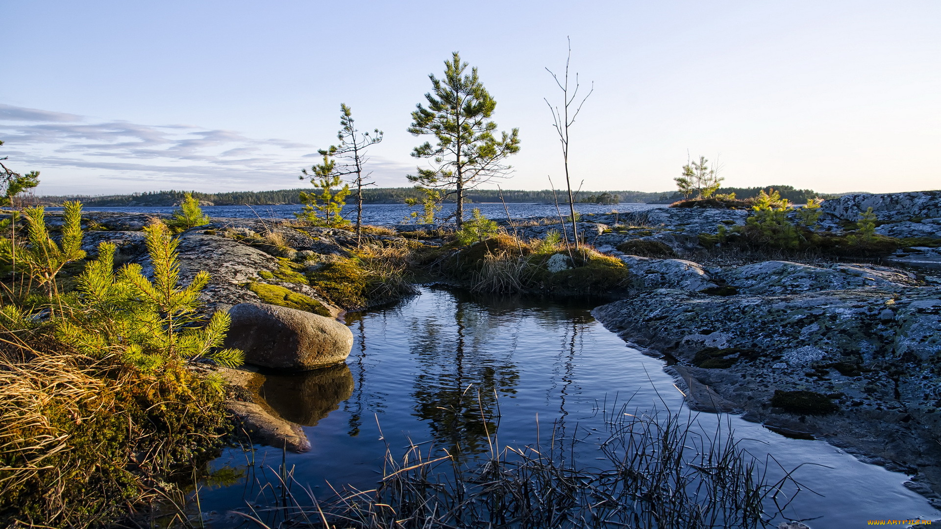природа, реки, озера, камни, лужа, трава, озеро