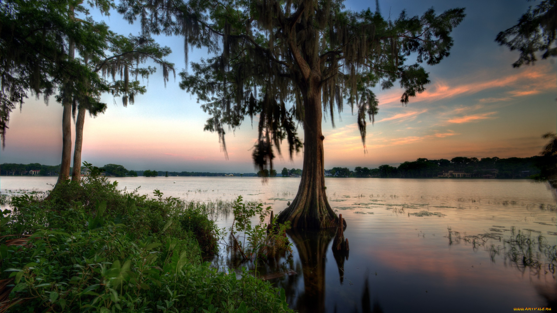 сша, флорида, природа, реки, озера, кустарник, облака, река, деревья