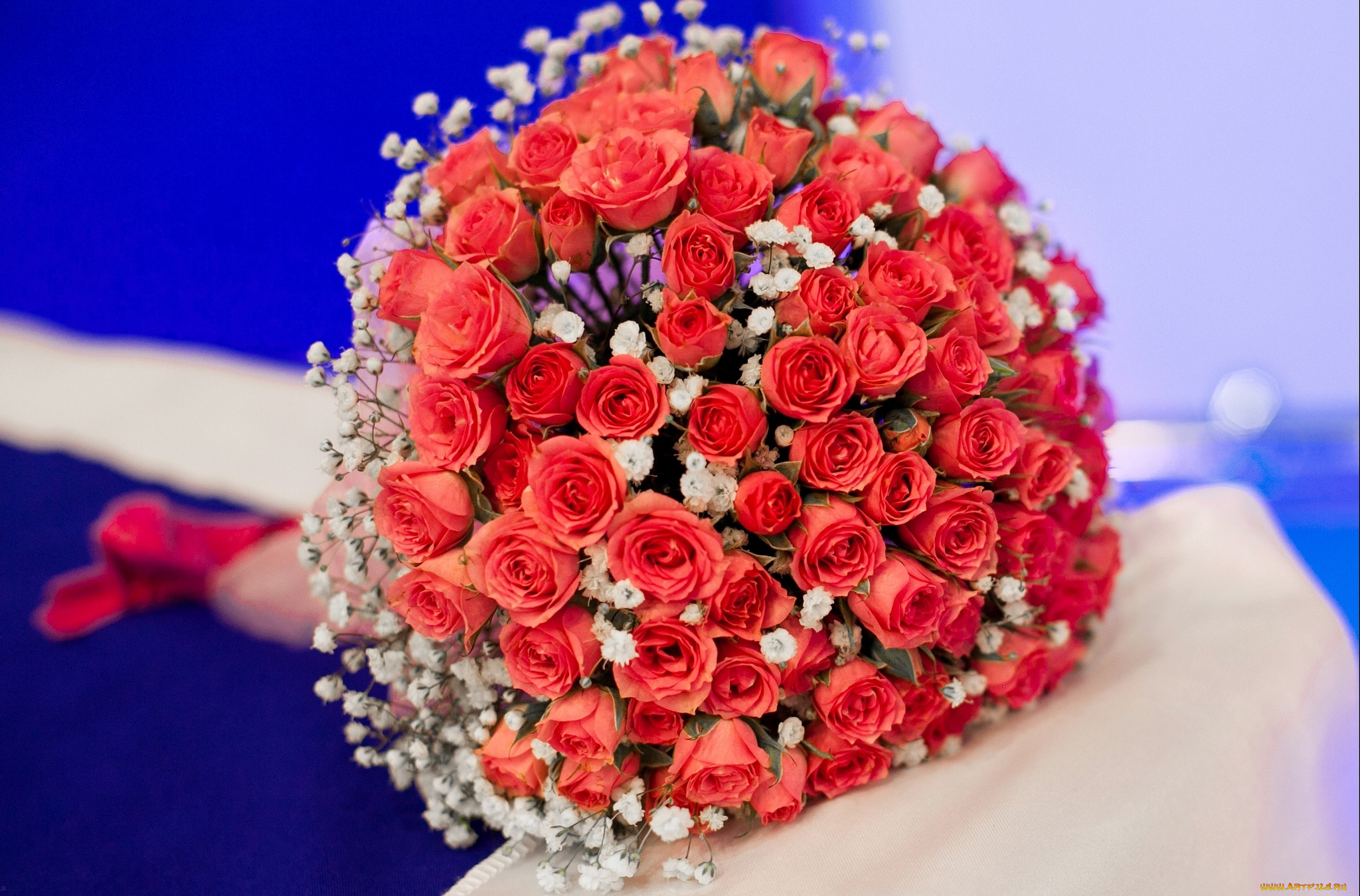 цветы, розы, розочки