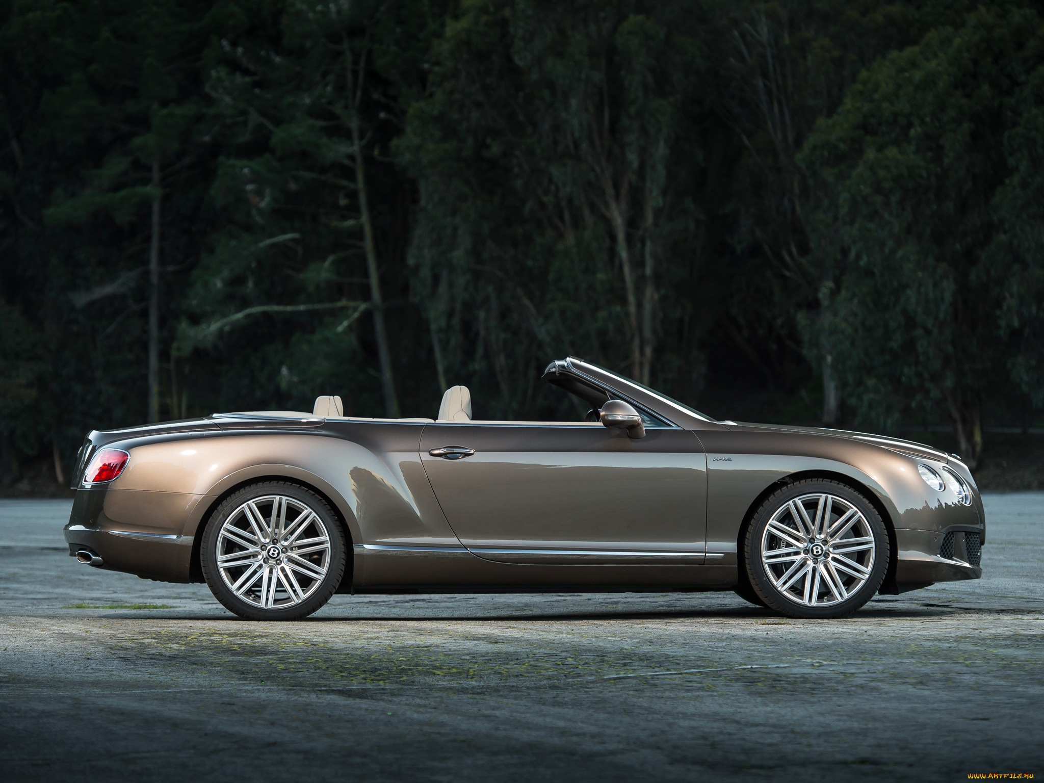 bentley, continental, gt, speed, автомобили, элитные, премиум-класс, великобритания, motors