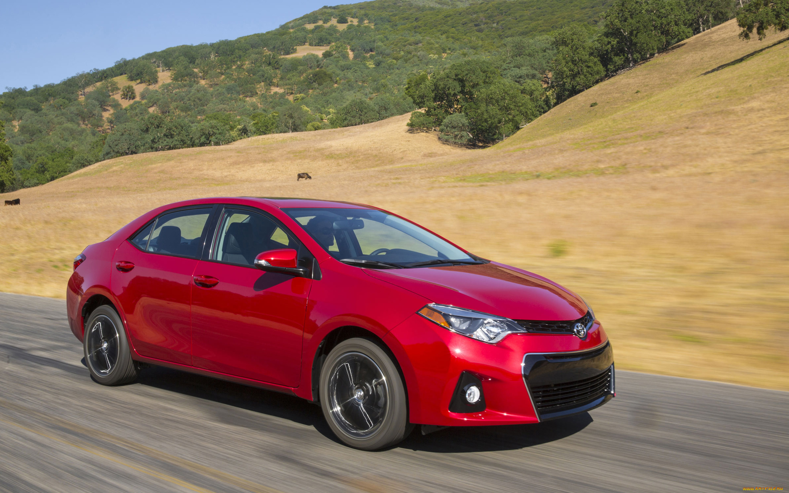 автомобили, toyota, corolla, sedan