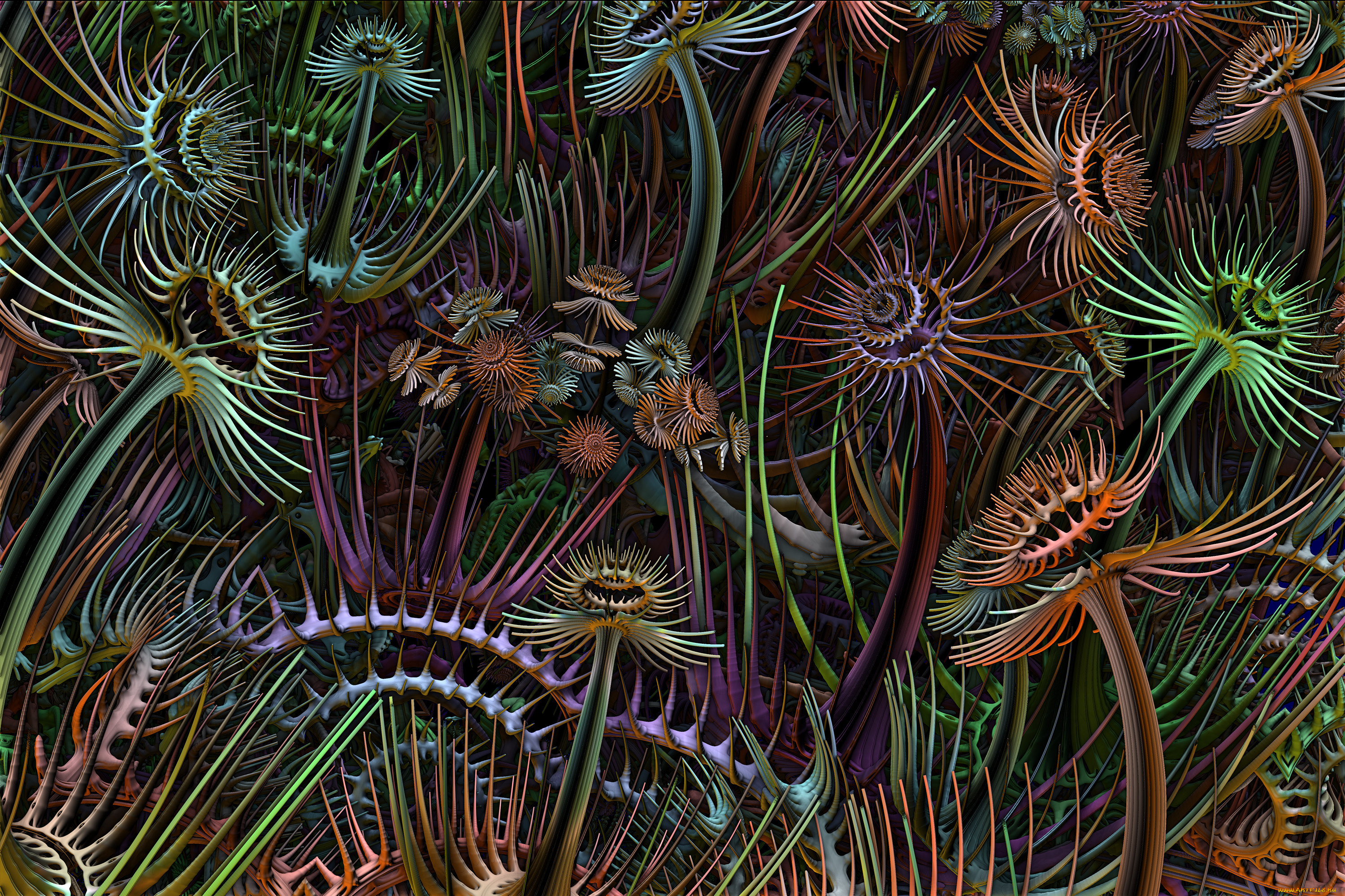 3д, графика, fractal, фракталы, фон, цвет, узор