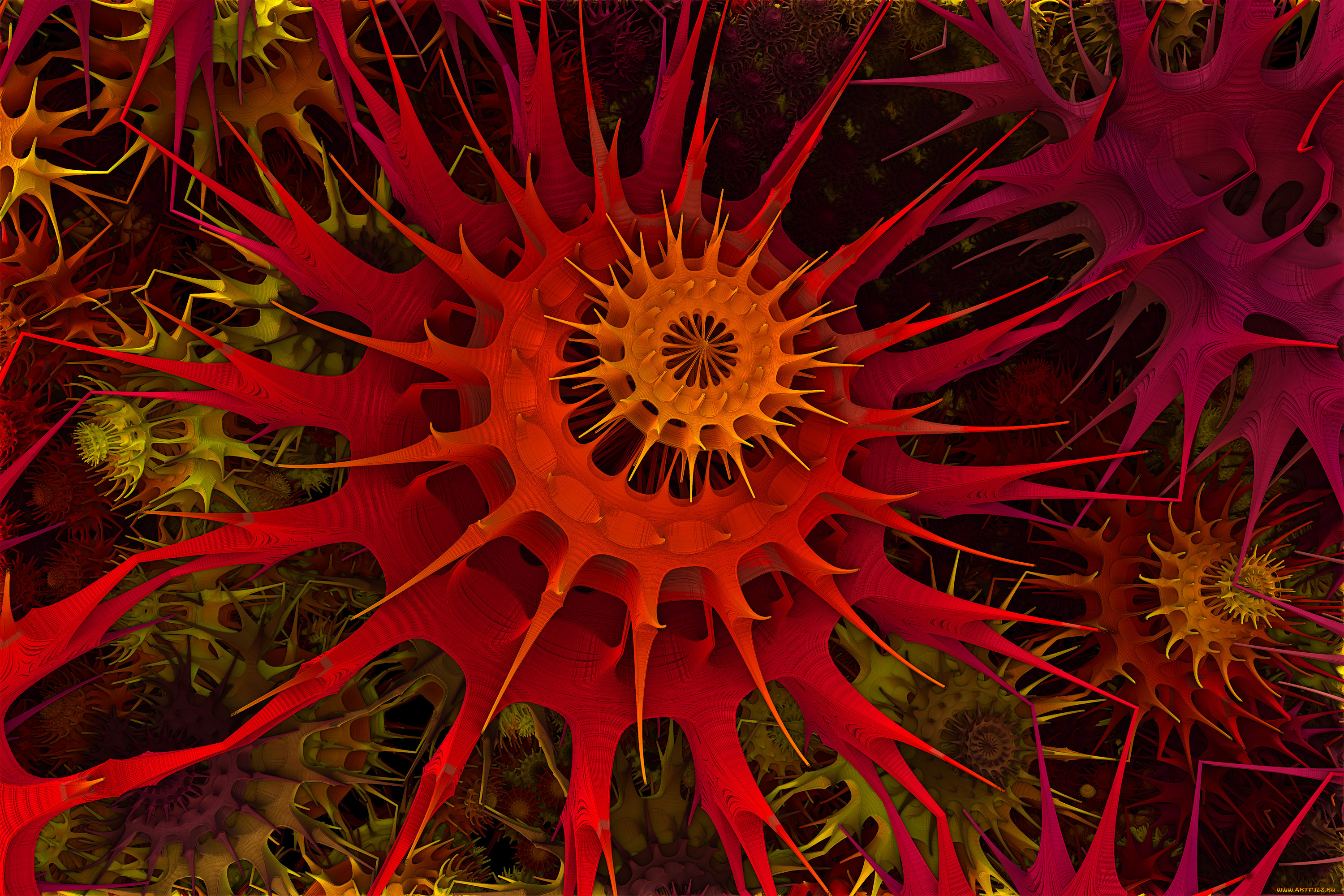 3д, графика, fractal, фракталы, фон, узор, цвет