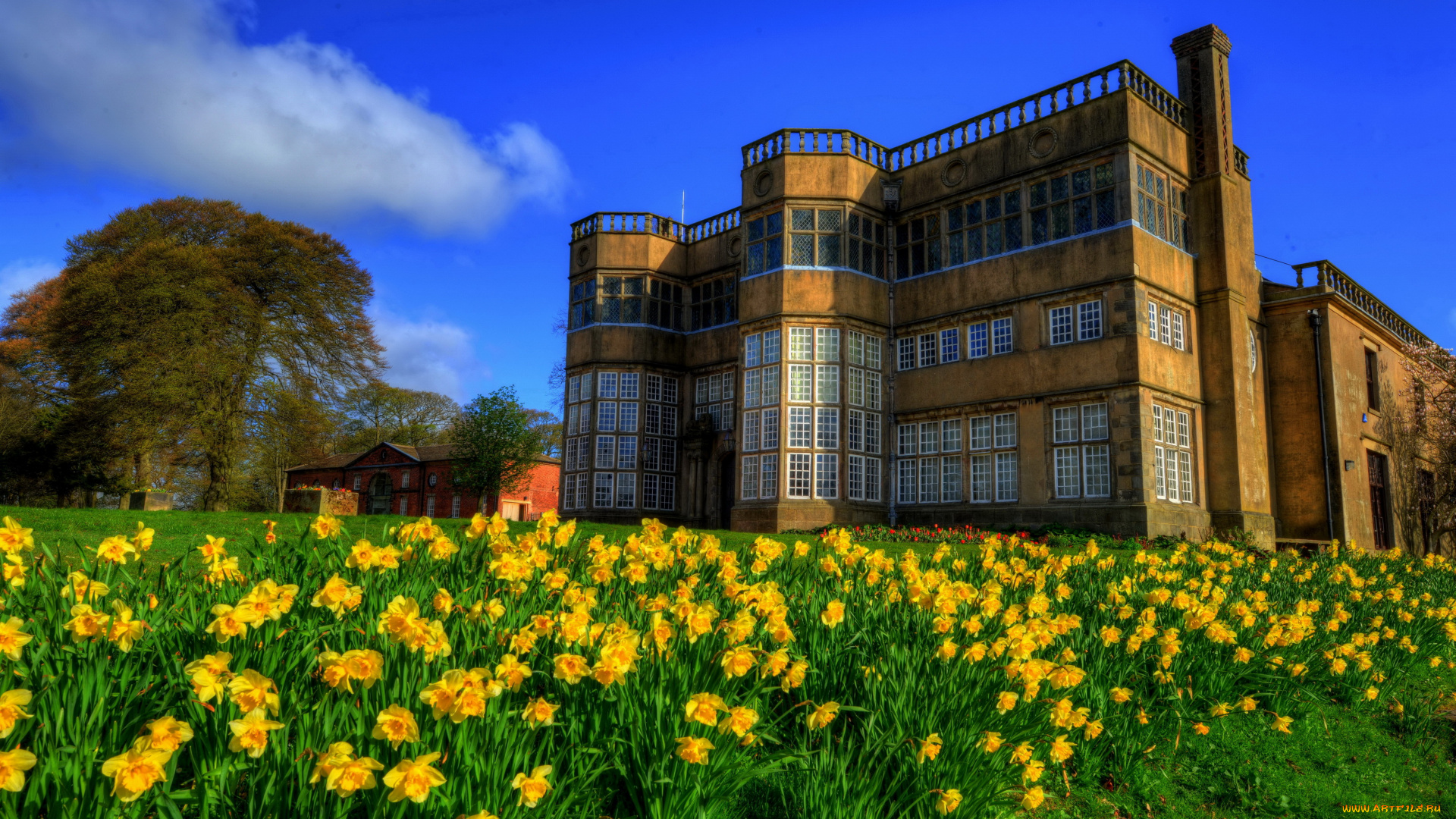 astley, hall, англия, города, -, здания, , дома, astley, hall, англия, особняк, парк, цветы