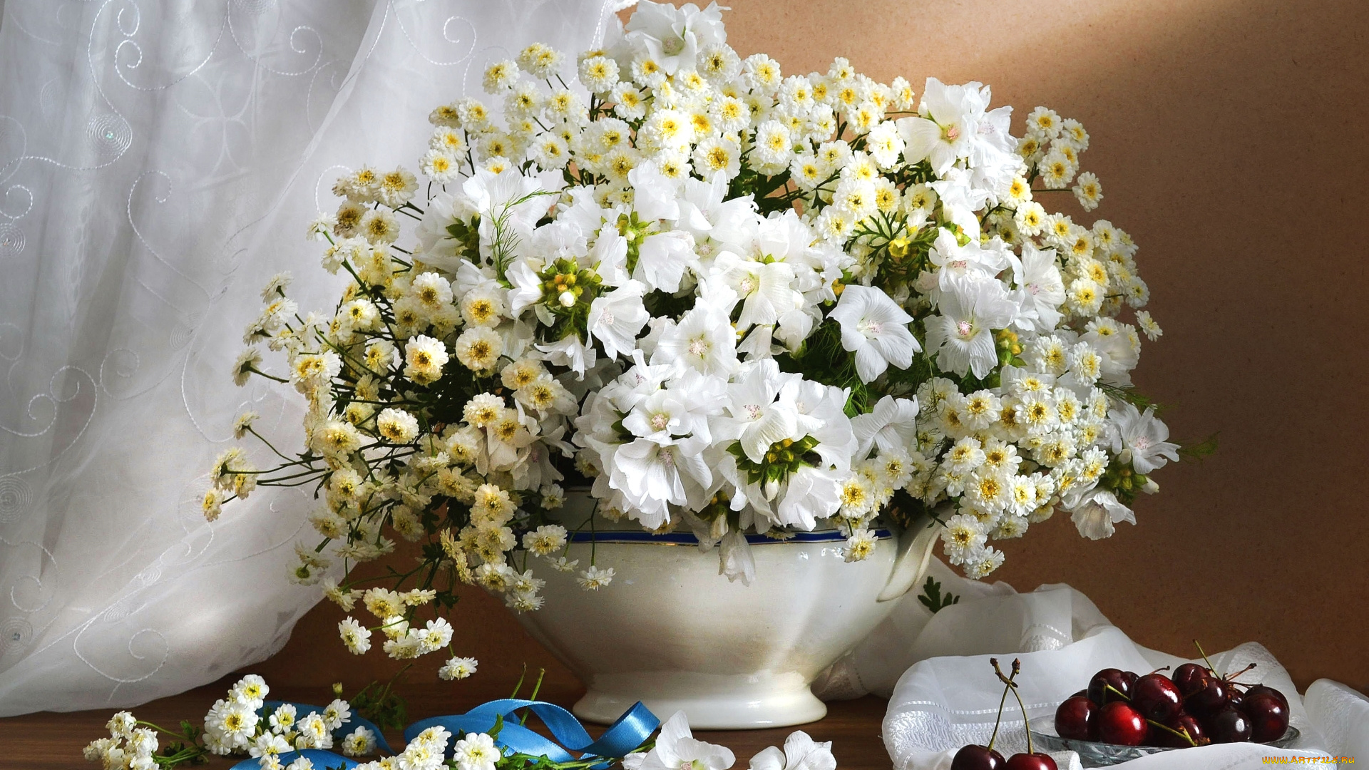 цветы, букеты, , композиции, белый