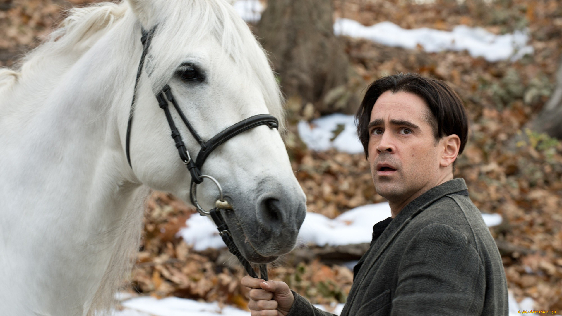 кино, фильмы, winter`s, tale, драма, сквозь, время, winter's, tale, любовь