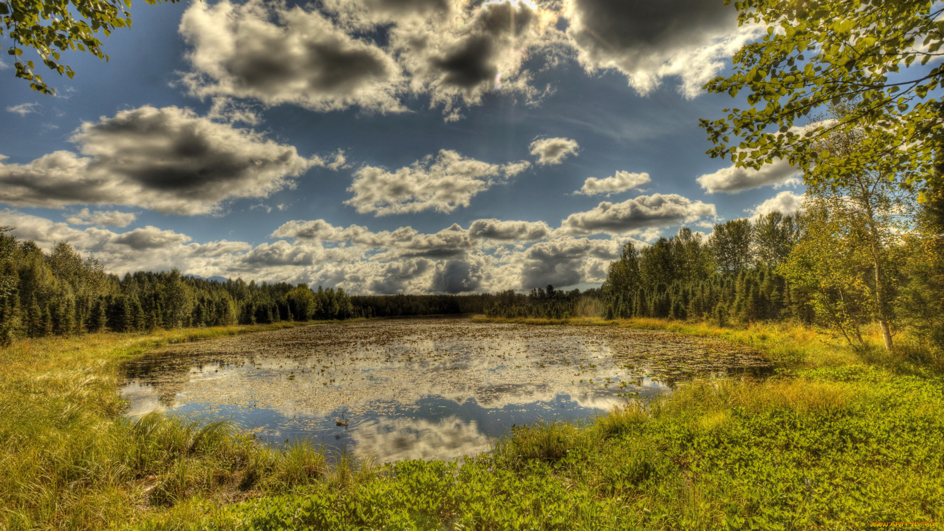 природа, реки, озера, облака, небо, трава, озеро, пейзаж
