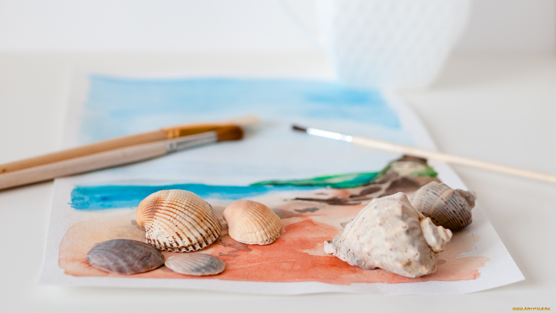 разное, ракушки, , кораллы, , декоративные, и, spa-камни, рисунок