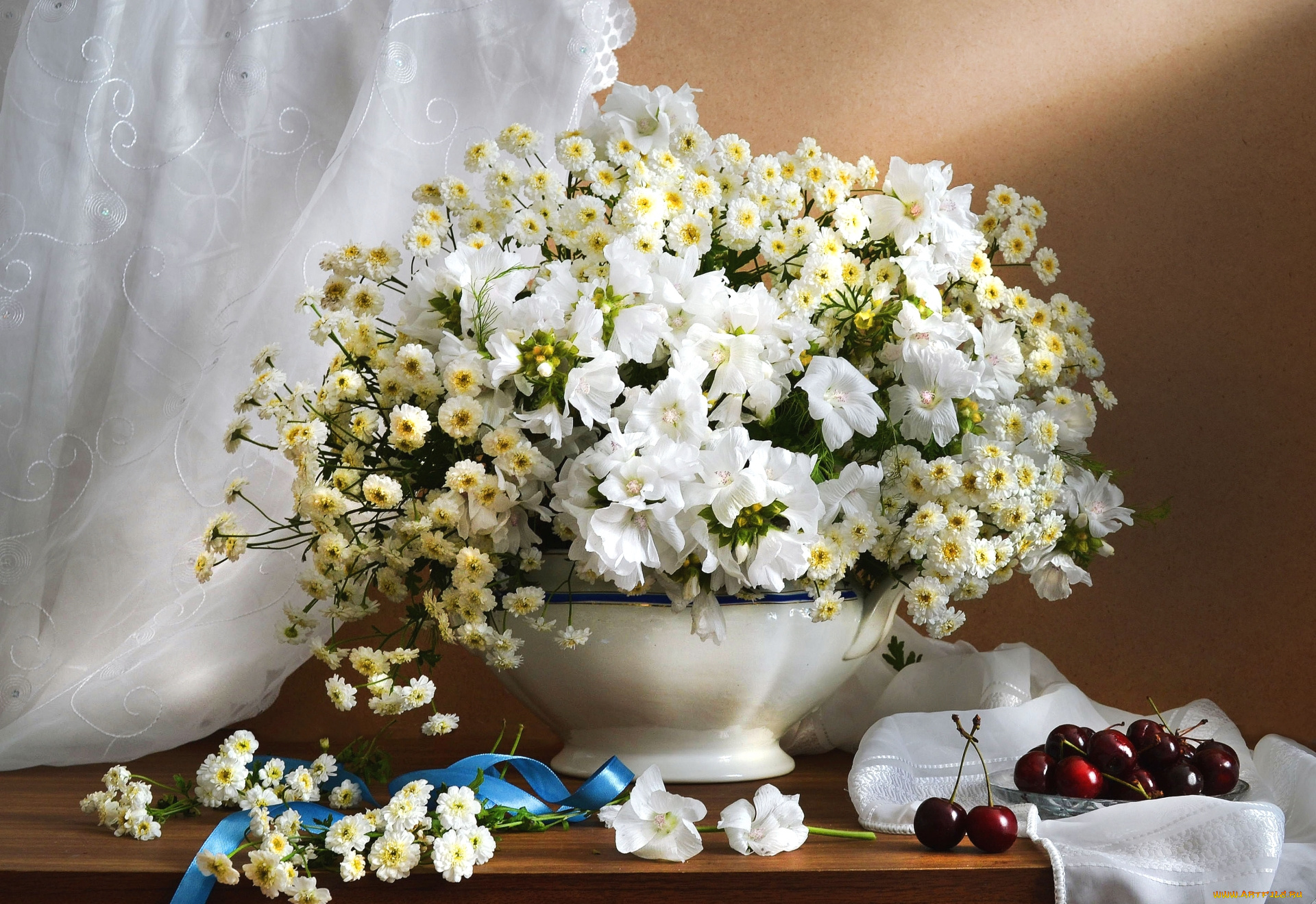 цветы, букеты, , композиции, белый