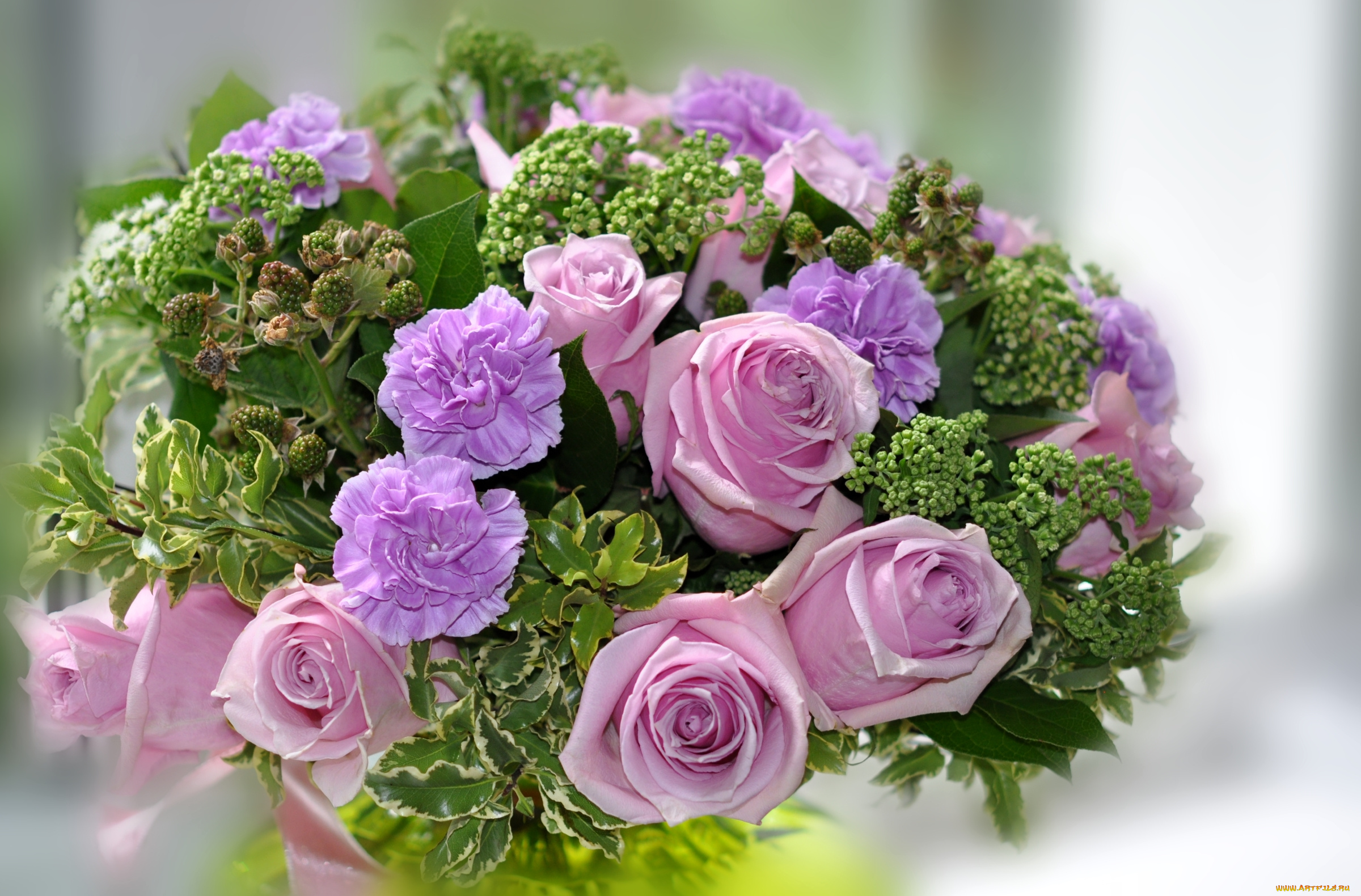 цветы, букеты, , композиции, гвоздика, розы