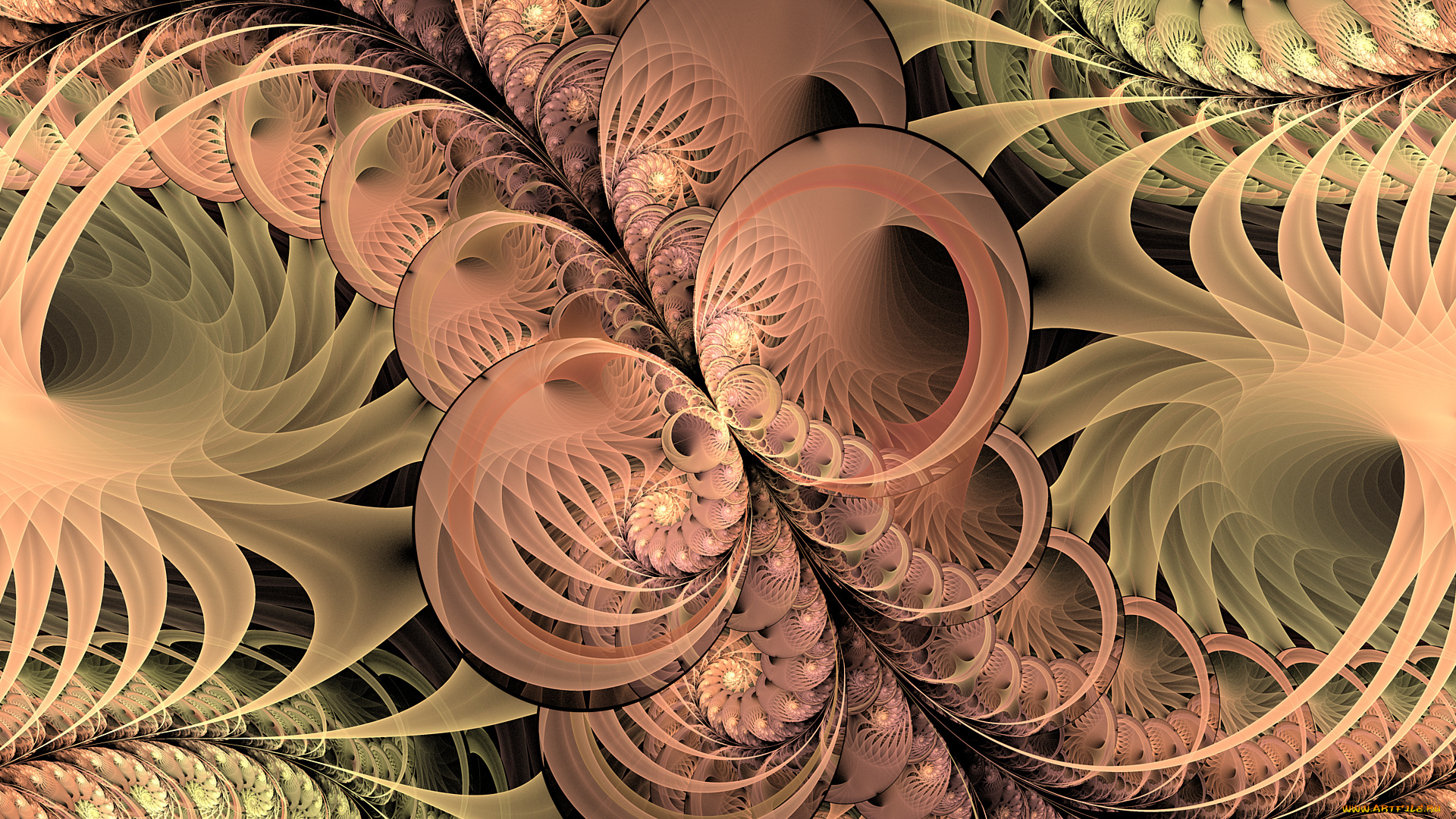 3д, графика, фракталы, , fractal, цвета, фон, узор