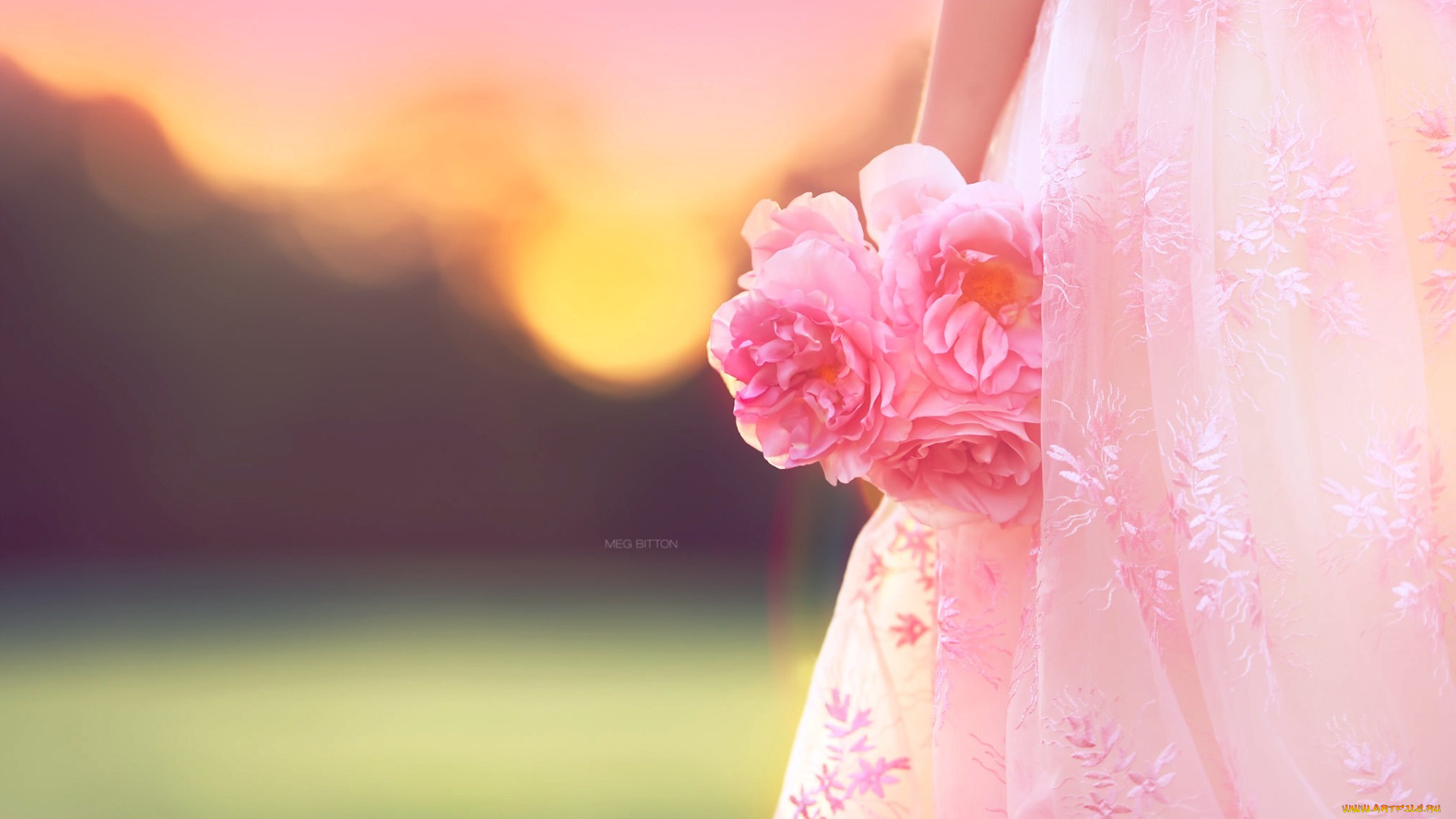 цветы, розы, фон, девочка