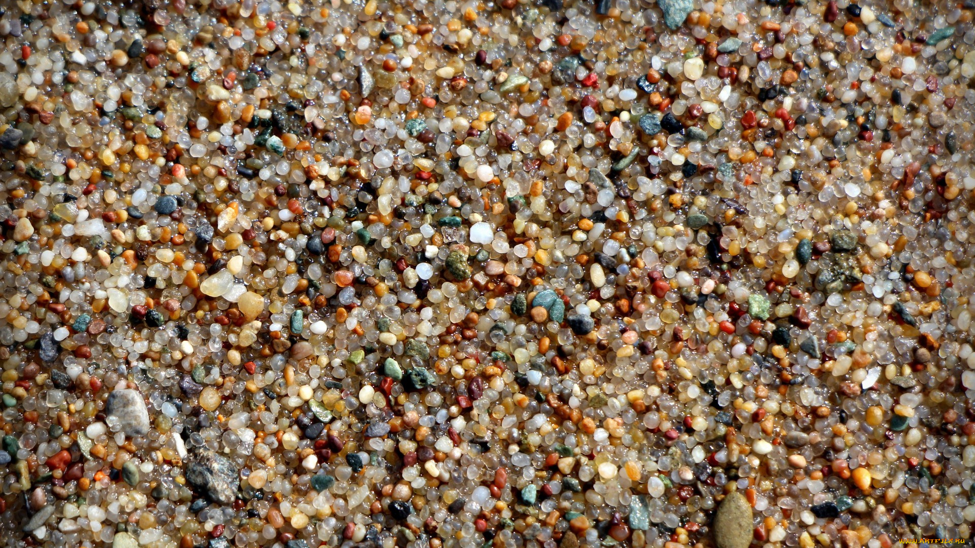 разное, ракушки, , кораллы, , декоративные, и, spa-камни, мелкие, камушки