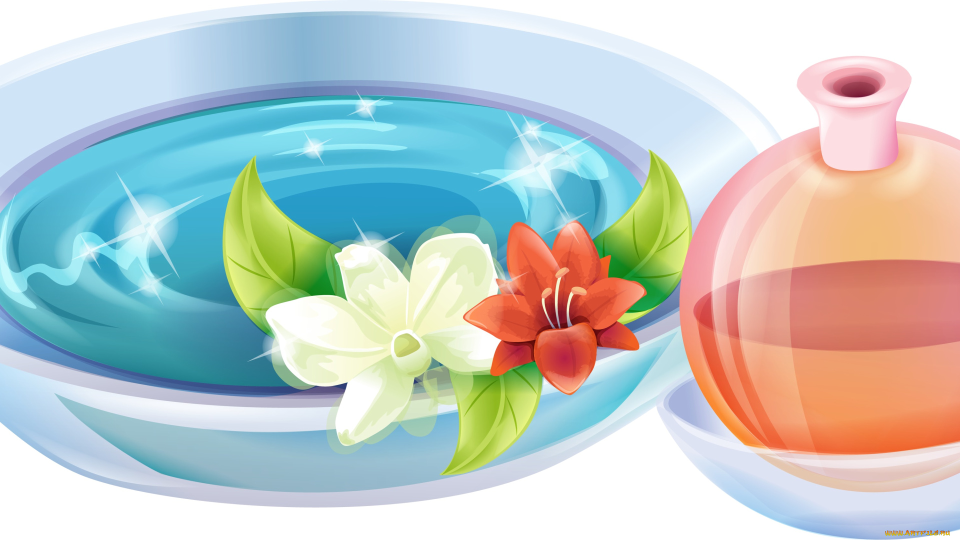 векторная, графика, цветы, , flowers, кувшин, тарелка, цветы