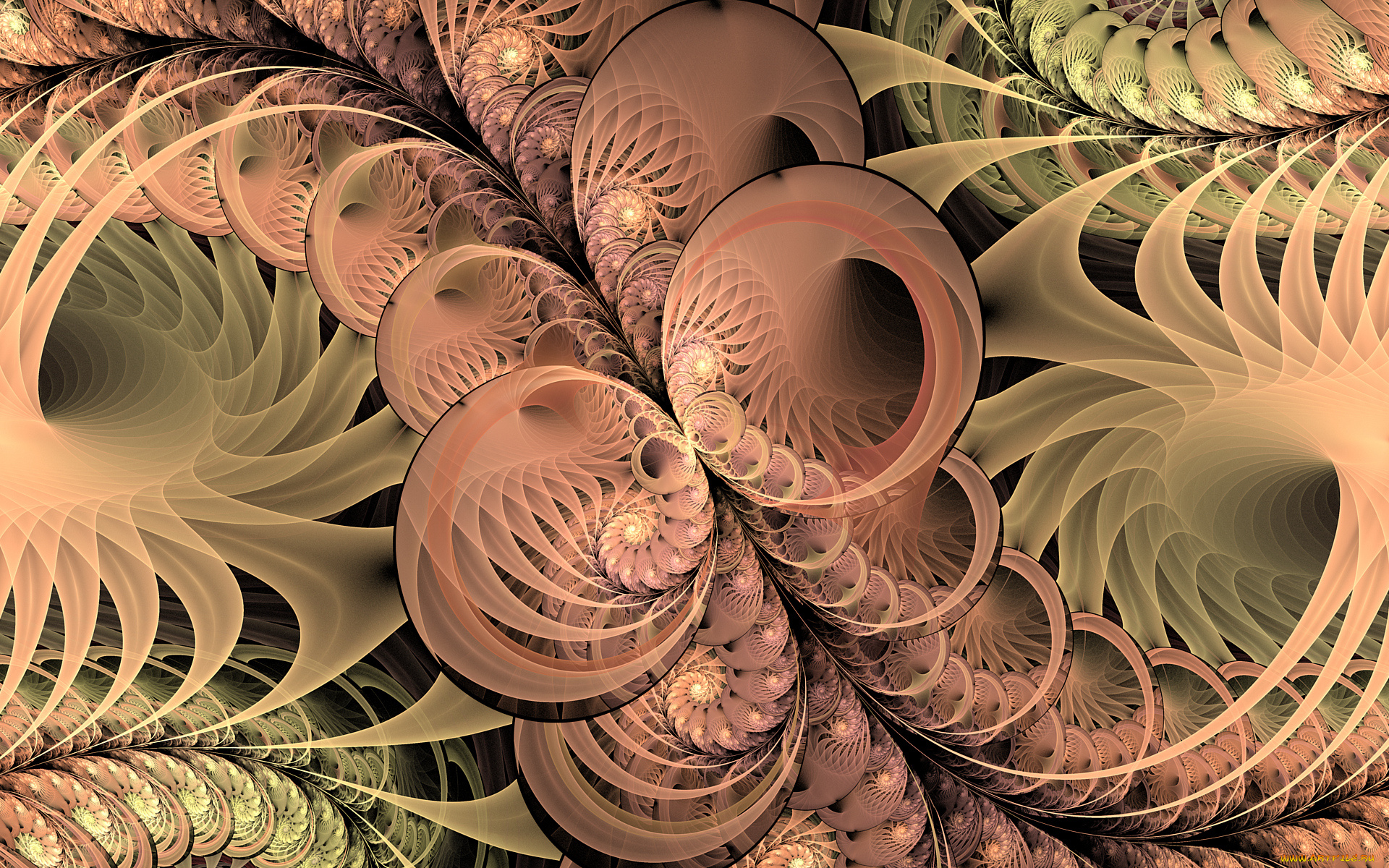 3д, графика, фракталы, , fractal, цвета, фон, узор