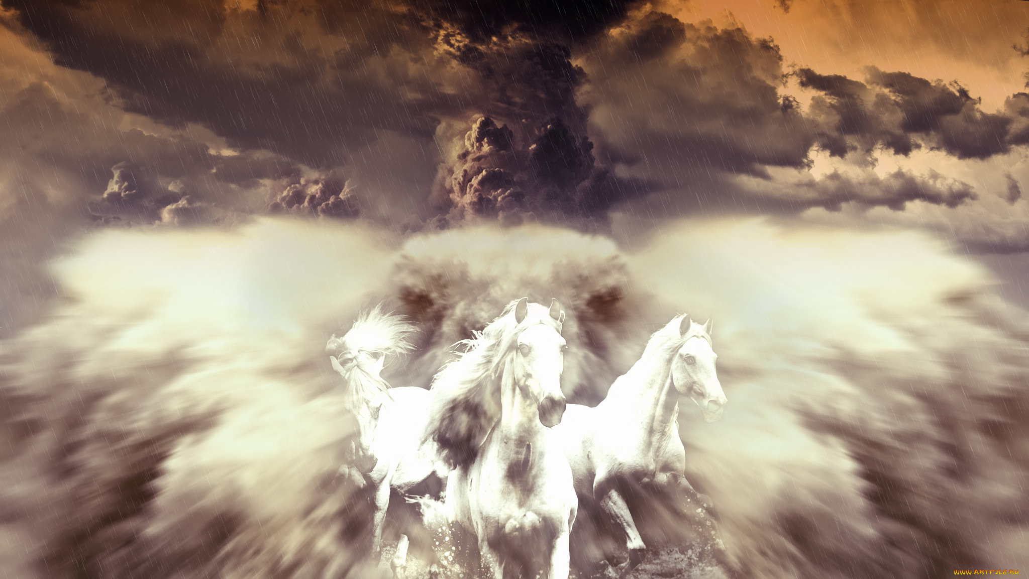 разное, компьютерный, дизайн, лошади, компьютерный, дизайн, тучи, дождь