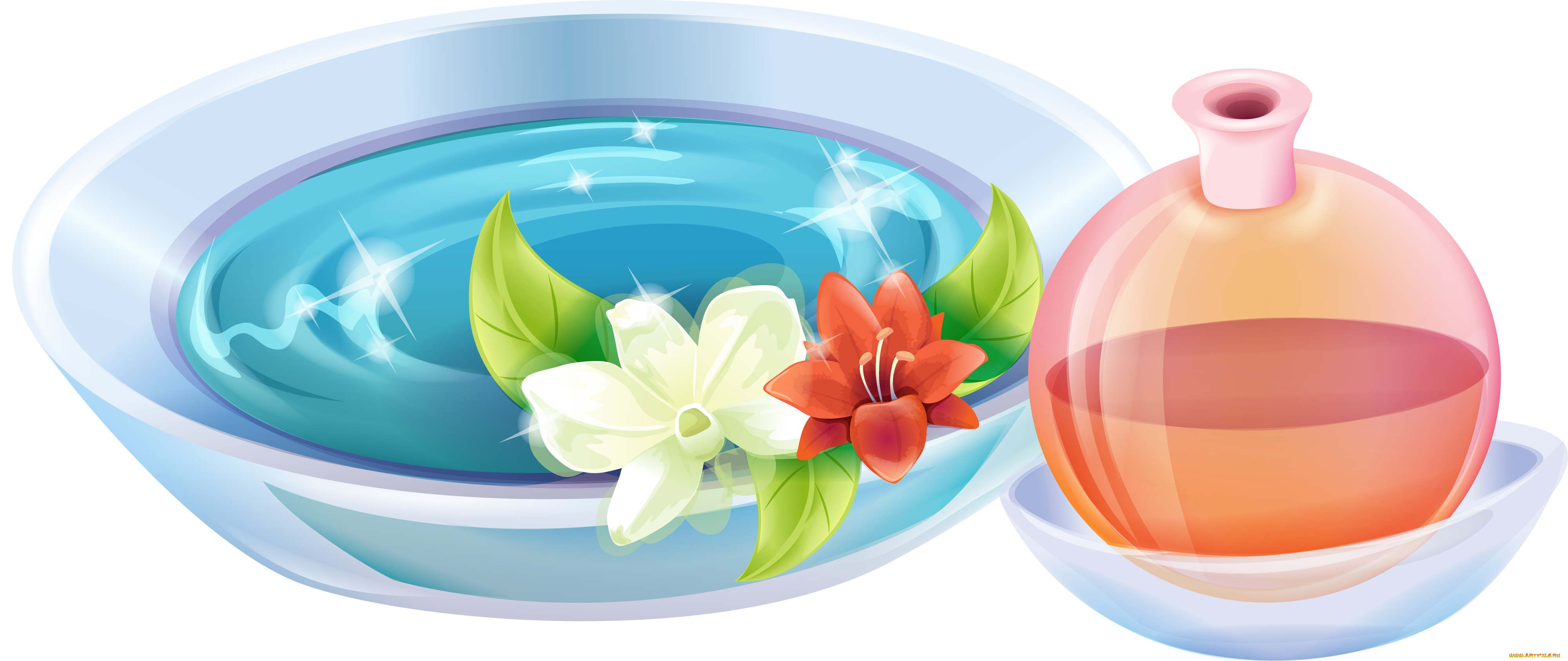 векторная, графика, цветы, , flowers, кувшин, тарелка, цветы