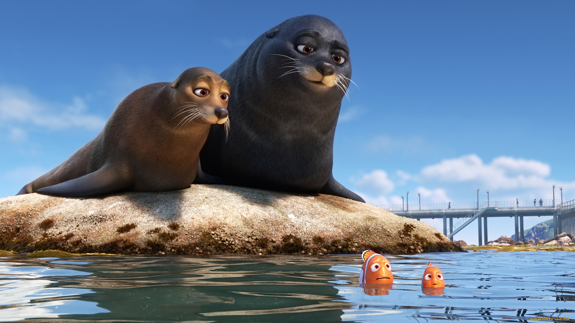 мультфильмы, finding, dory, finding, dory
