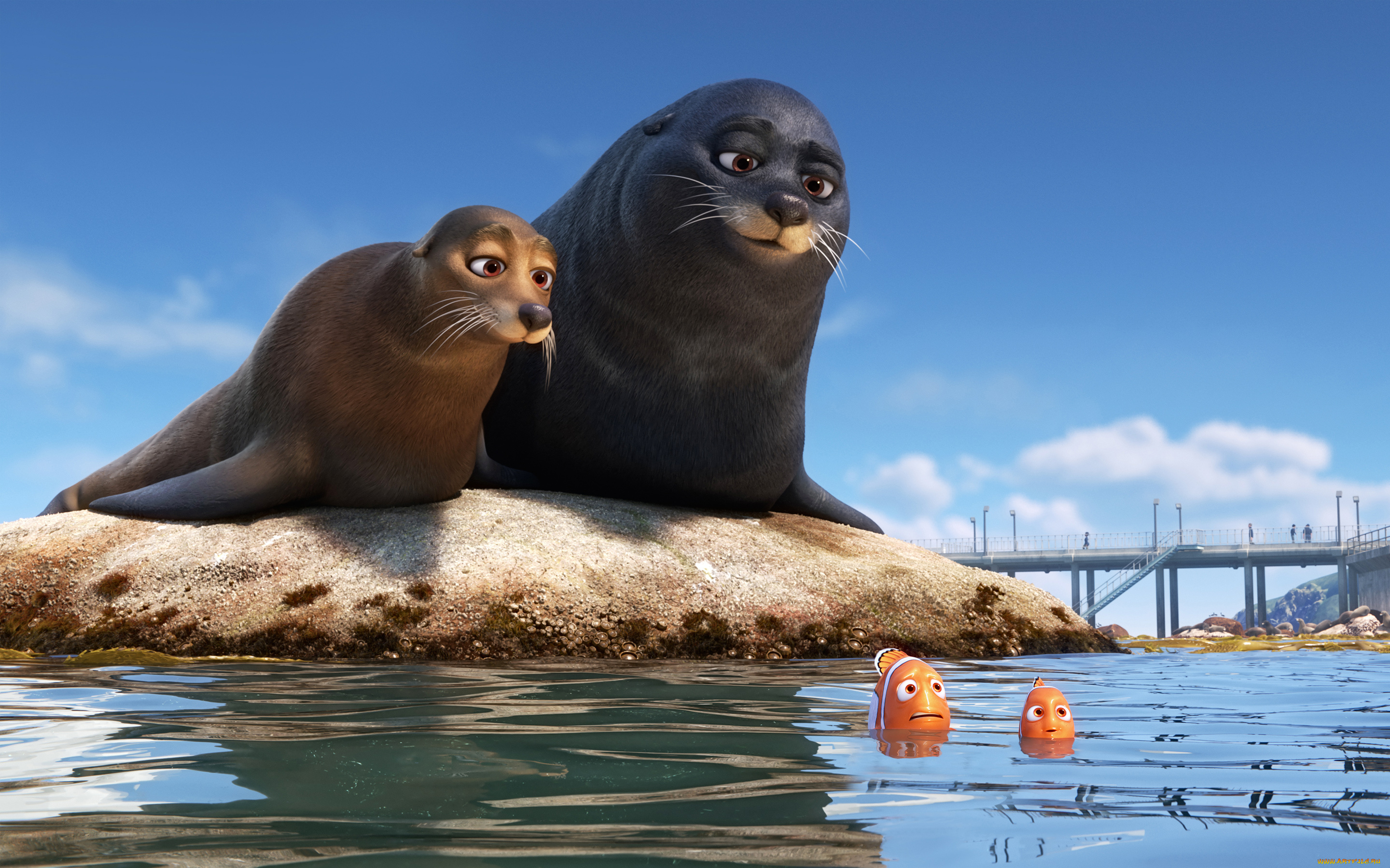 мультфильмы, finding, dory, finding, dory