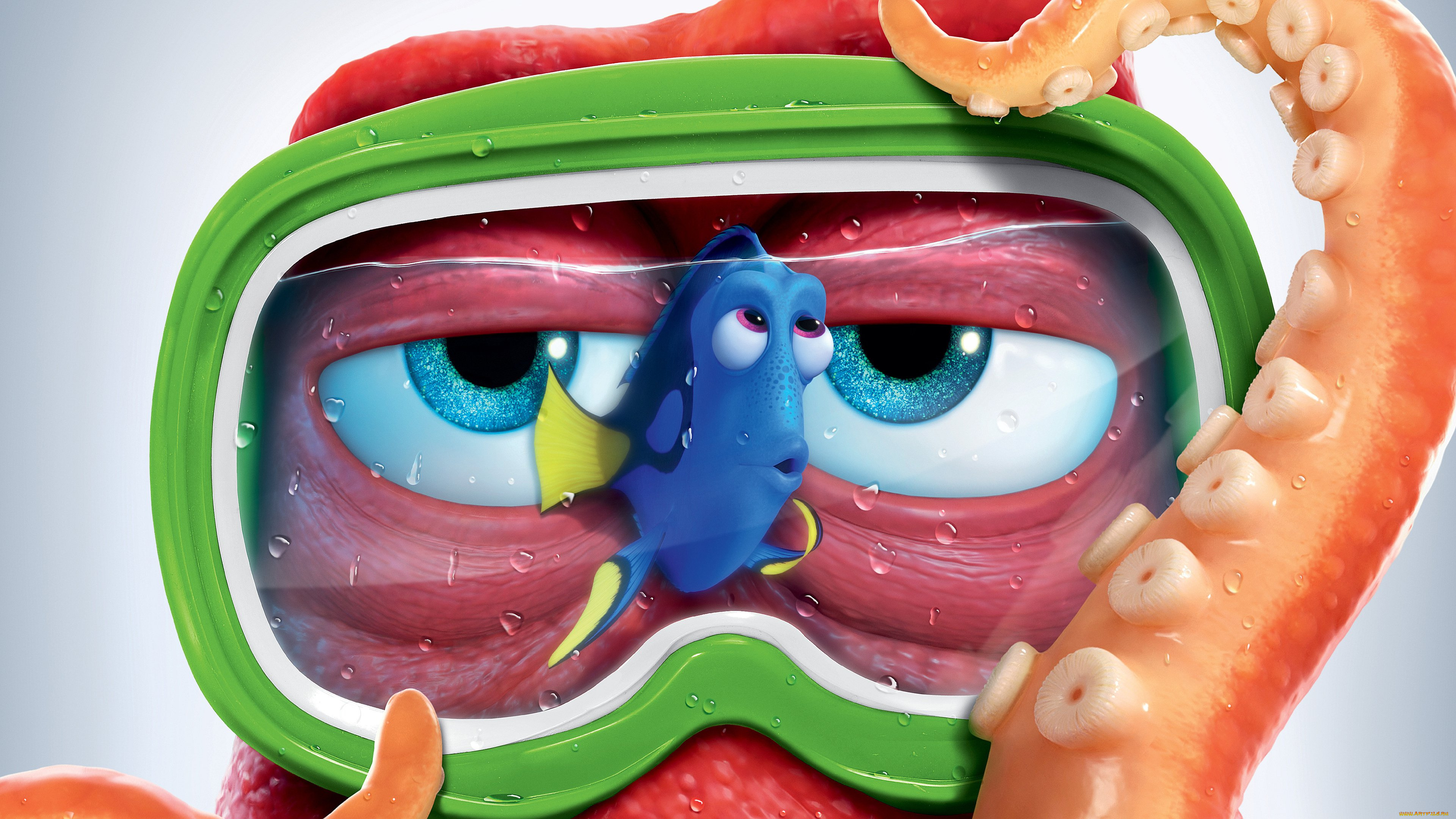 мультфильмы, finding, dory, finding, dory