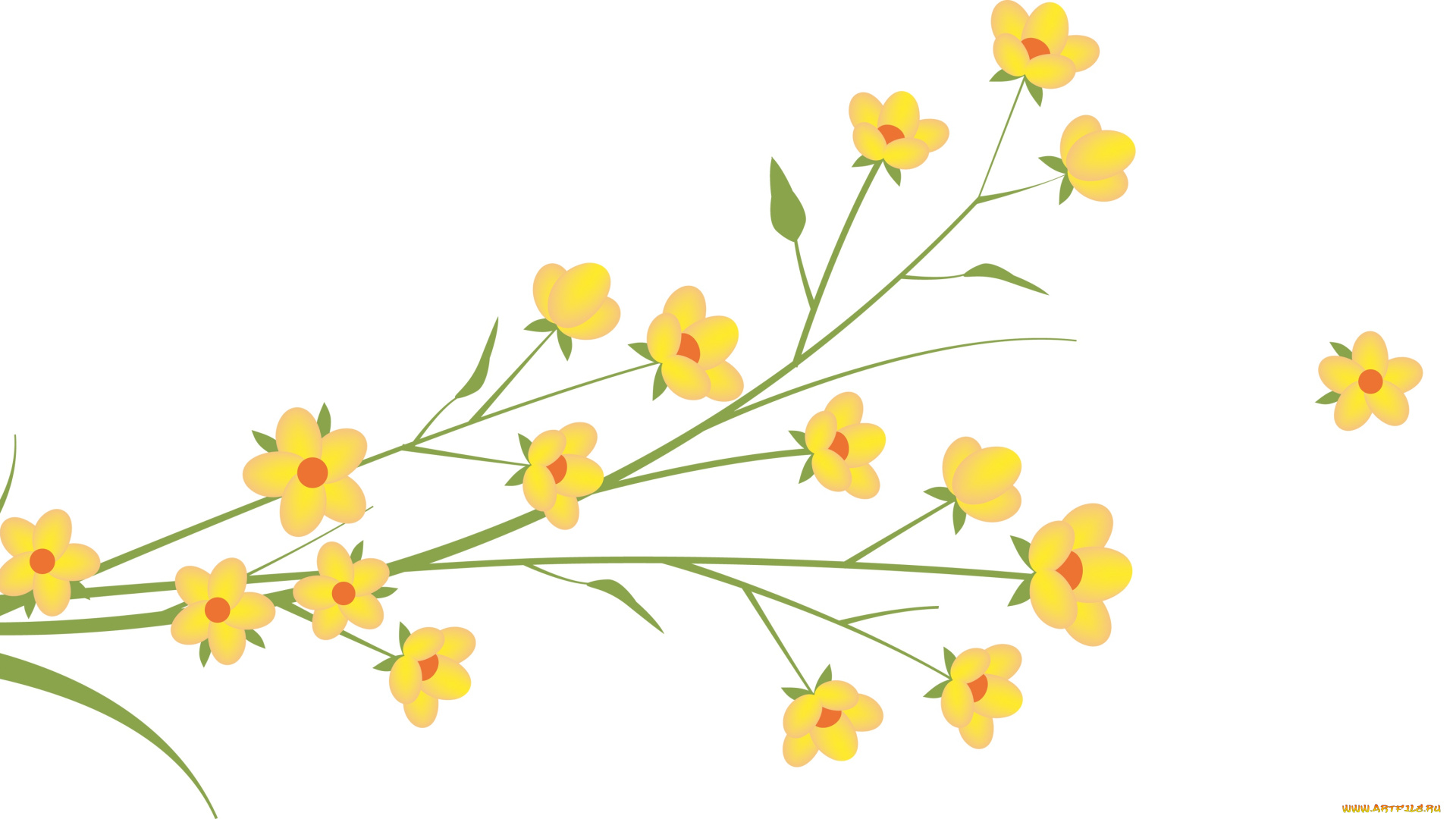 векторная, графика, цветы, , flowers, цветы, фон