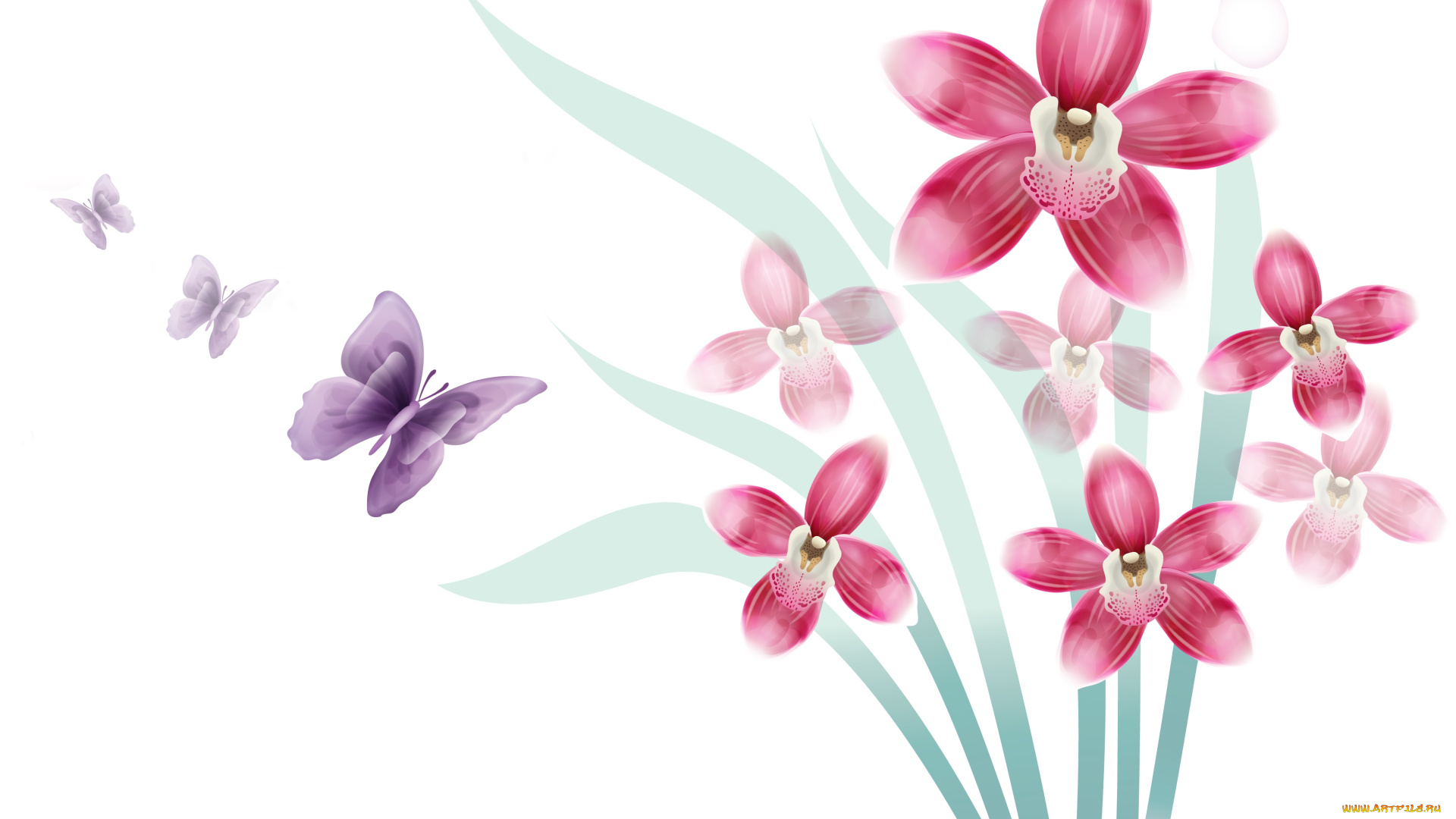 векторная, графика, цветы, , flowers, фон, цветы