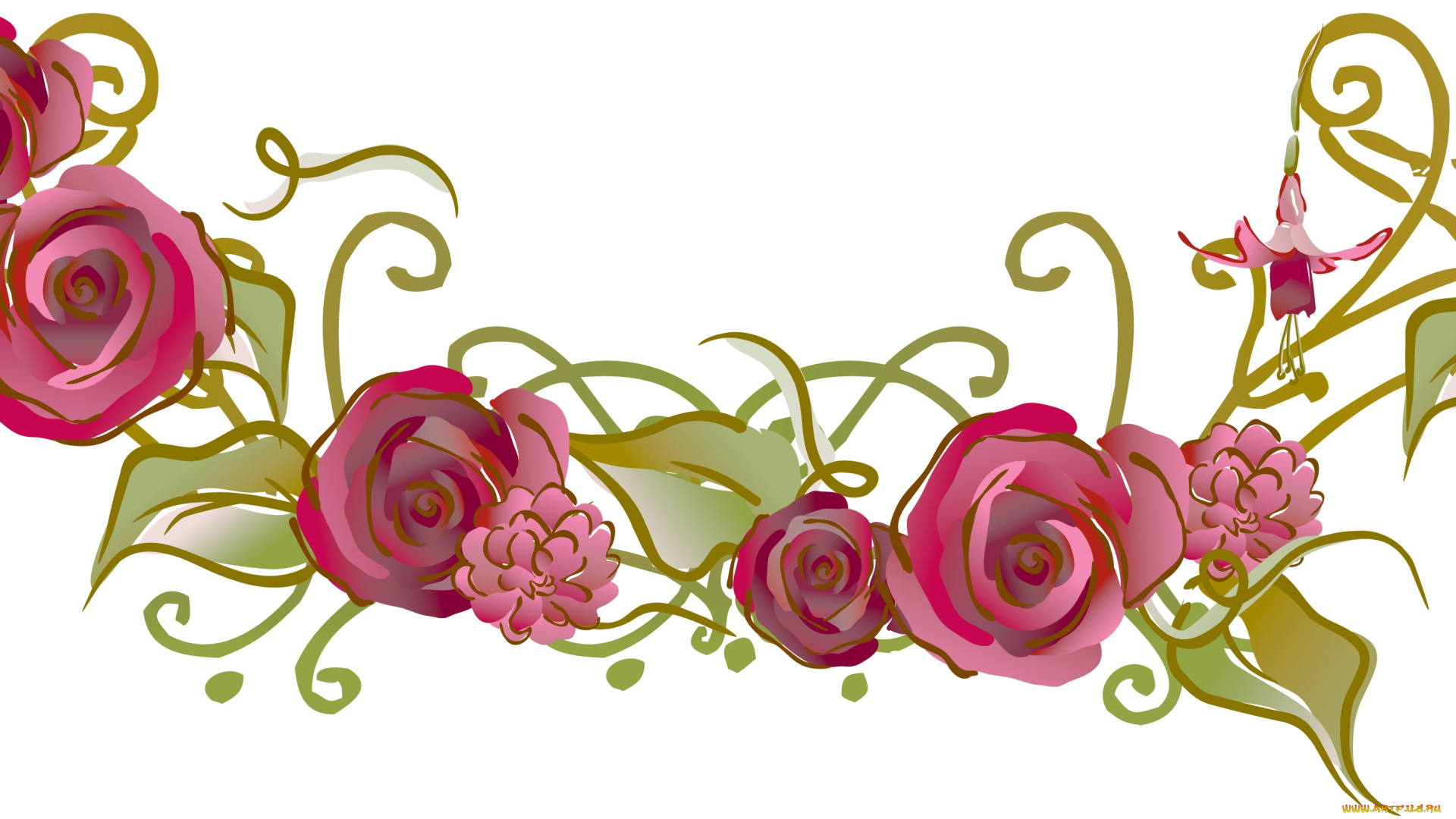 векторная, графика, цветы, , flowers, фон, цветы