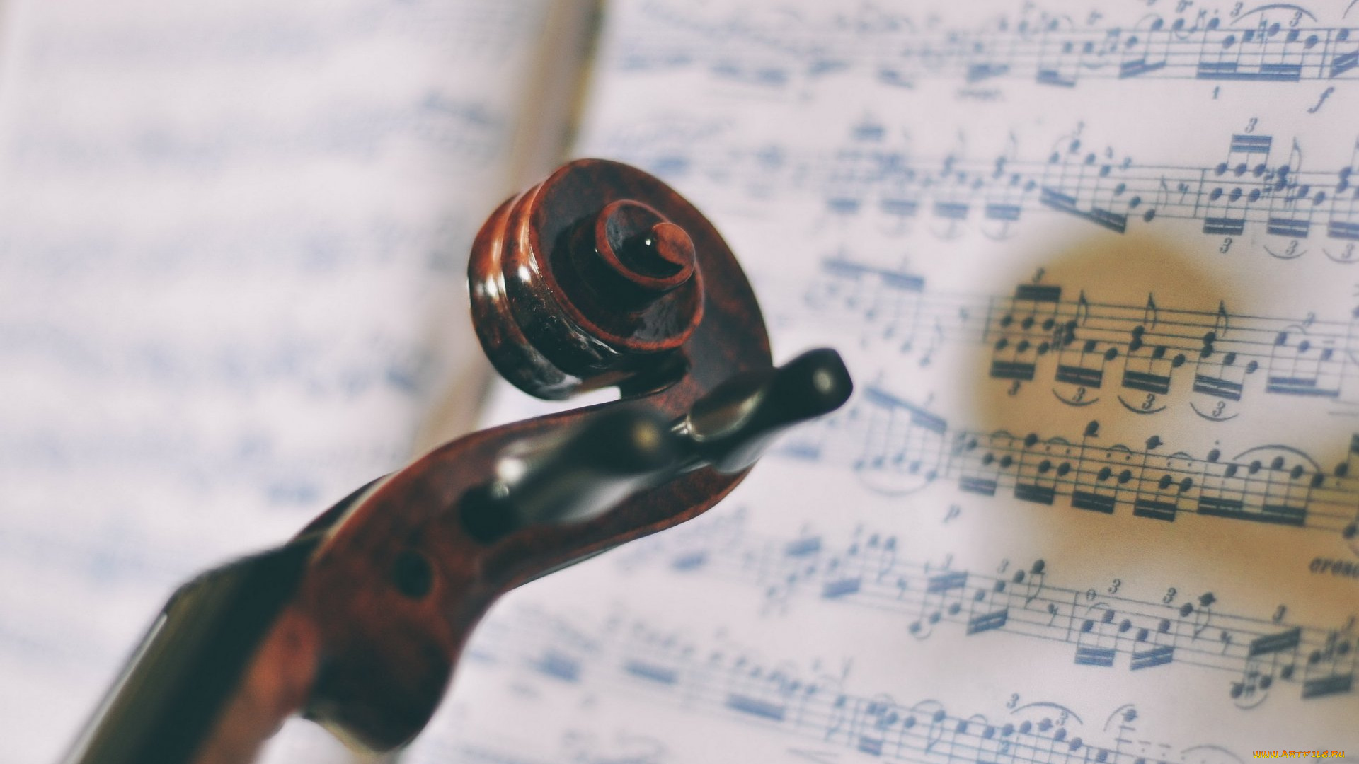 музыка, -музыкальные, инструменты, гриф, ноты