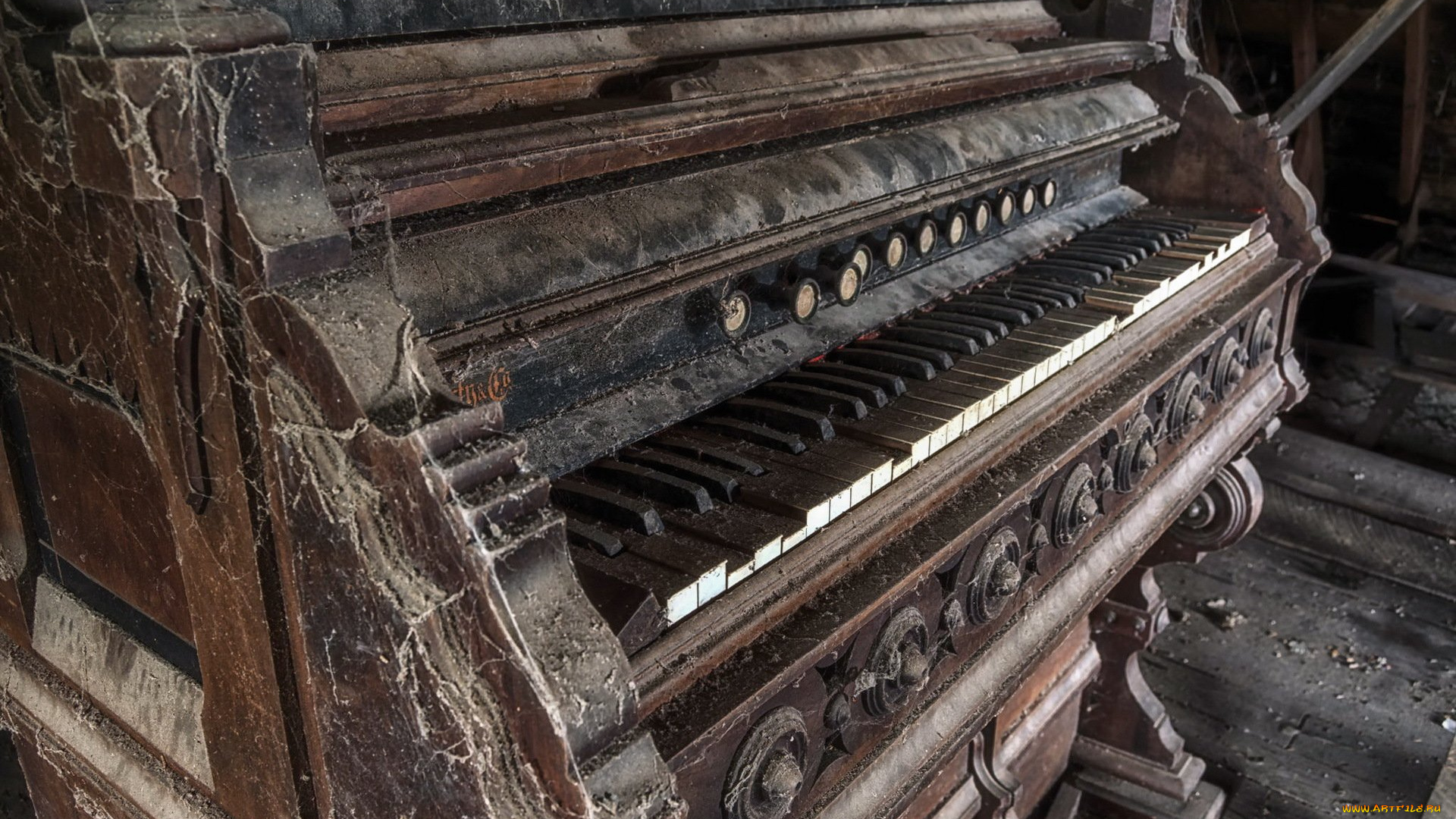 музыка, -музыкальные, инструменты, орган