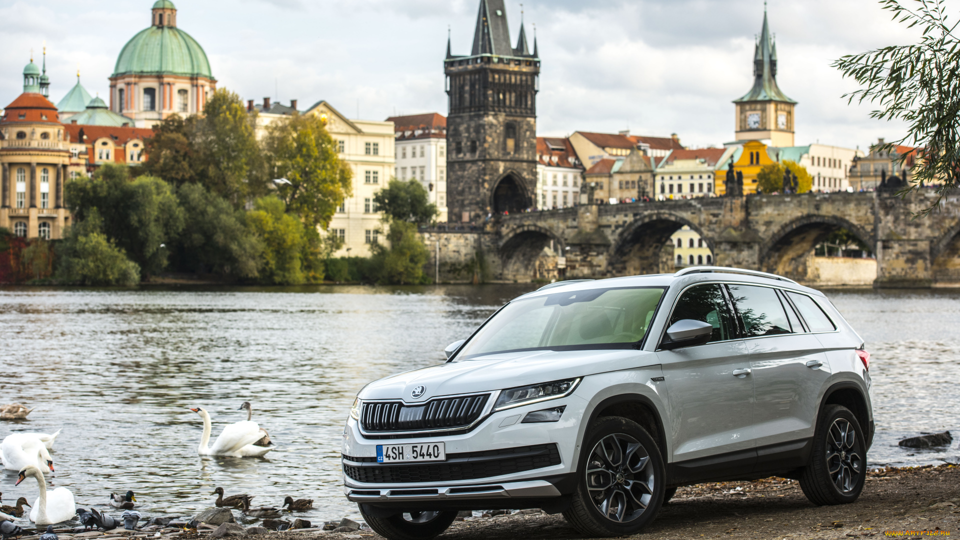 автомобили, skoda