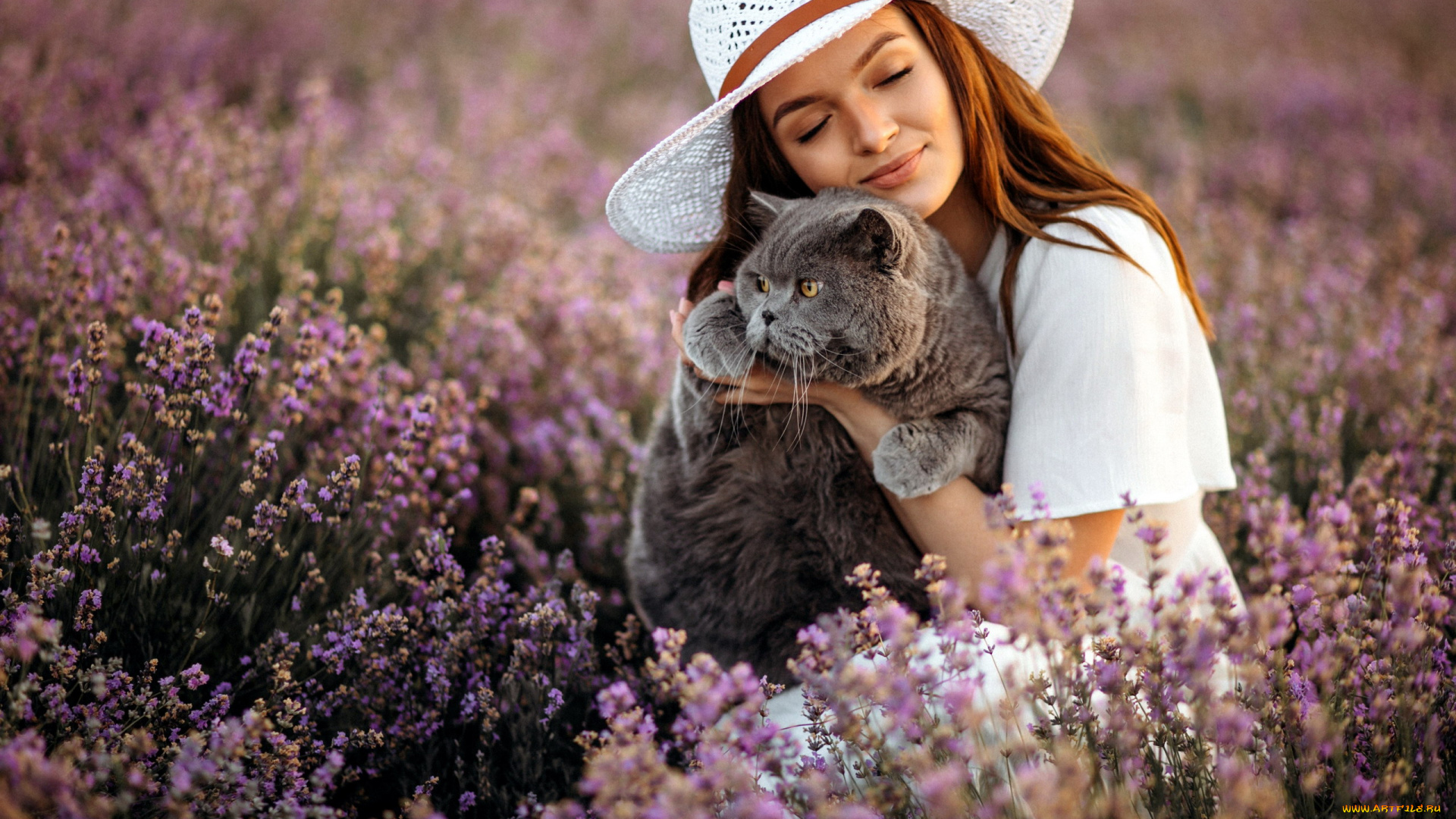 девушки, -, рыжеволосые, и, разноцветные, луг, лаванда, шляпа, кот