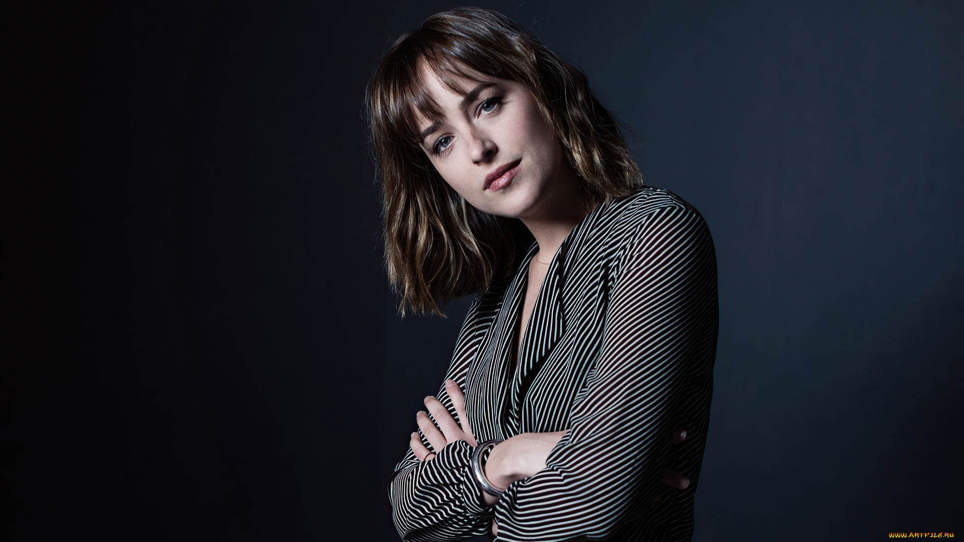 девушки, dakota, johnson, шатенка, блузка