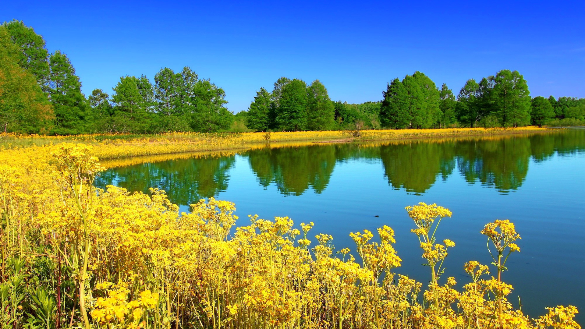 illinois, state, park, природа, реки, озера, illinois, state, park