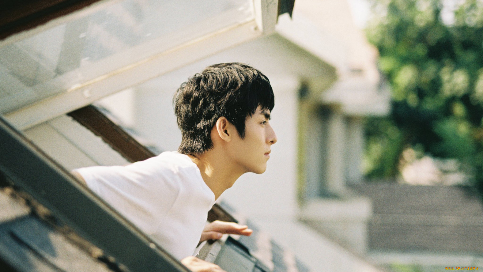 мужчины, wang, hao, xuan, ван, хао, сюань, хаосюань