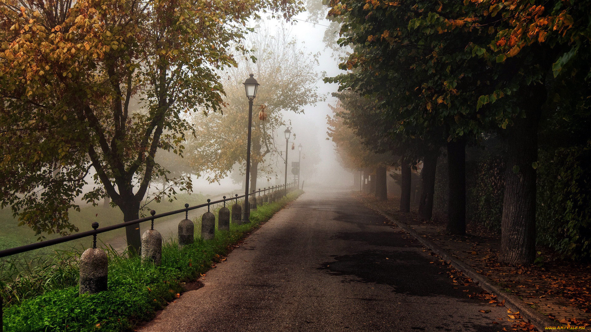 природа, дороги, шоссе, фонари, осень, туман