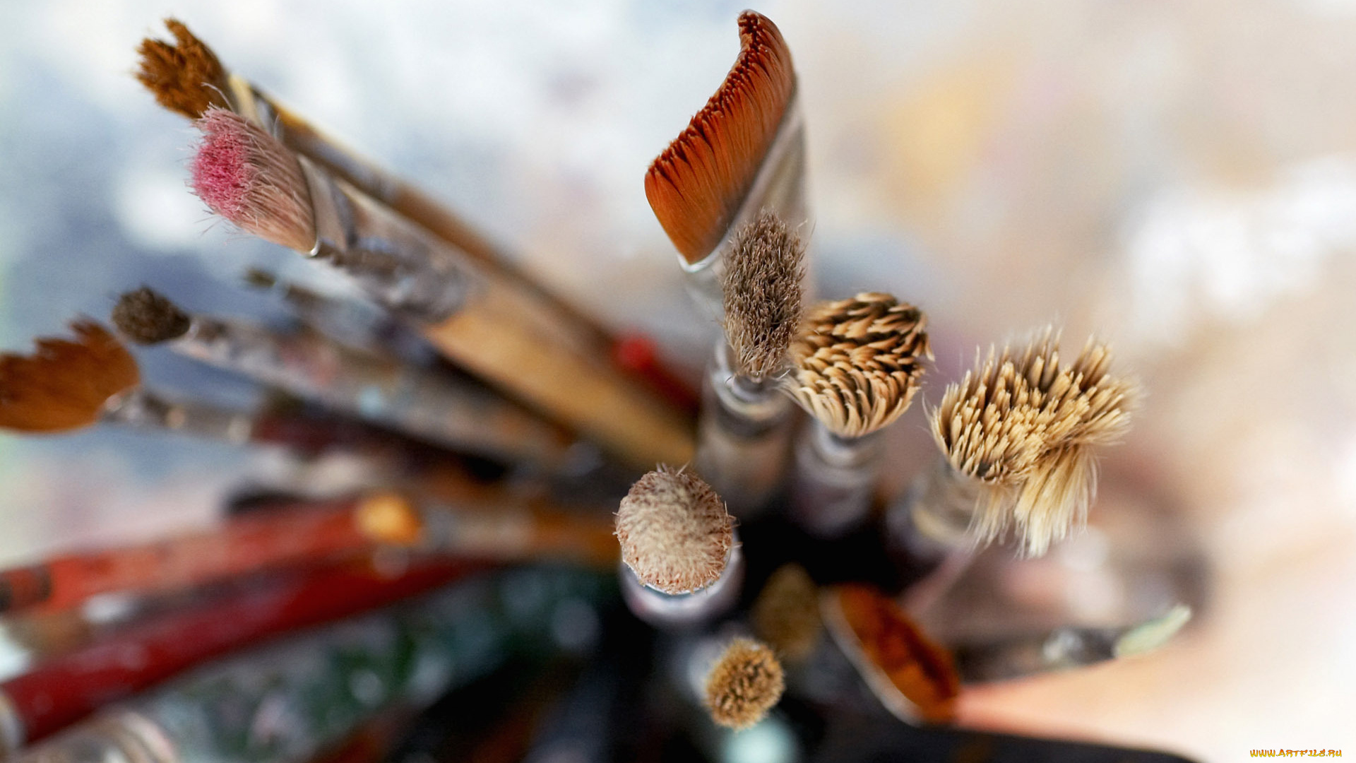 разное, канцелярия, , книги, кисти