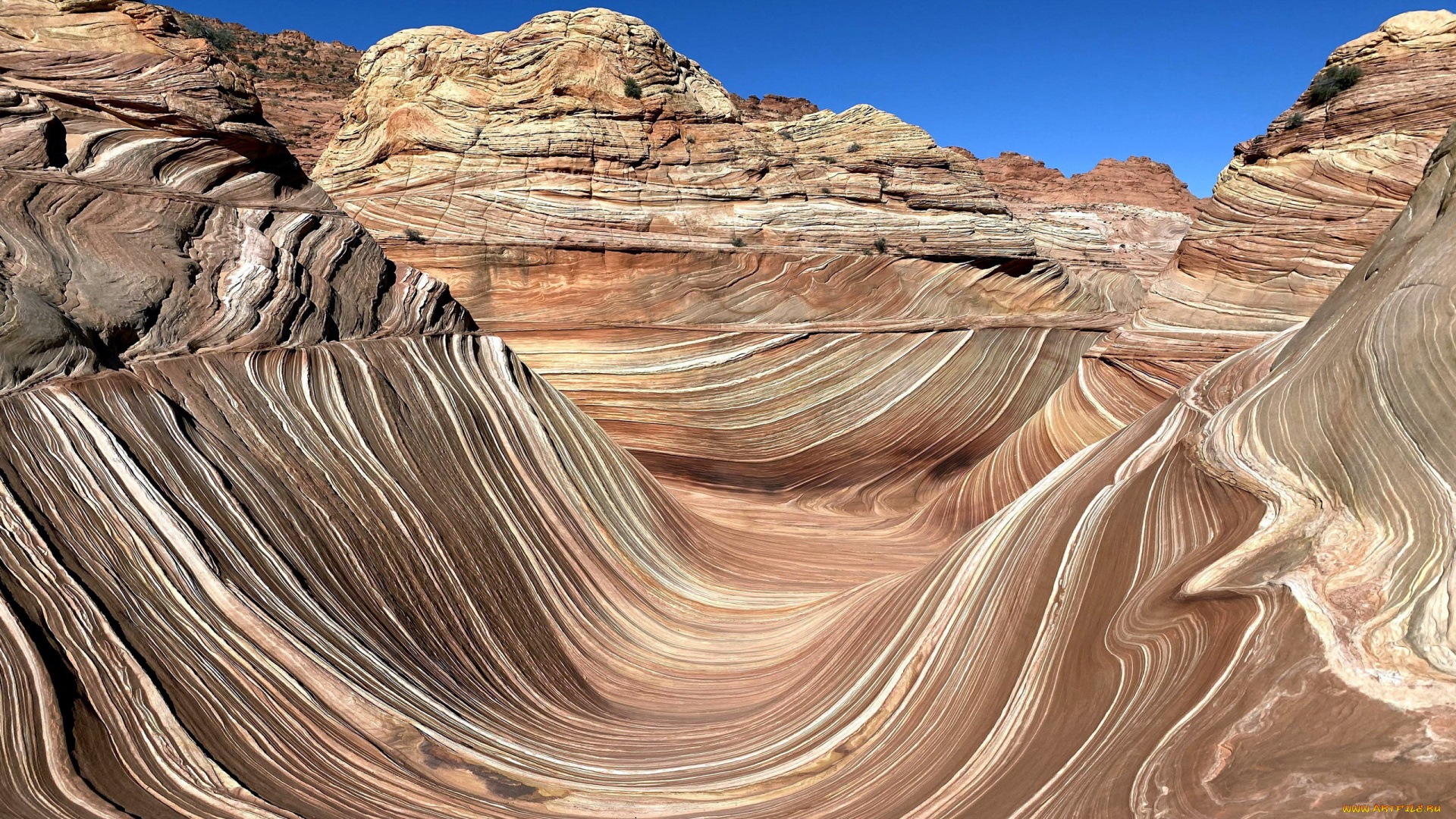 the, wave, arizona, coyote, buttes, north, природа, горы, the, wave, coyote, buttes, north