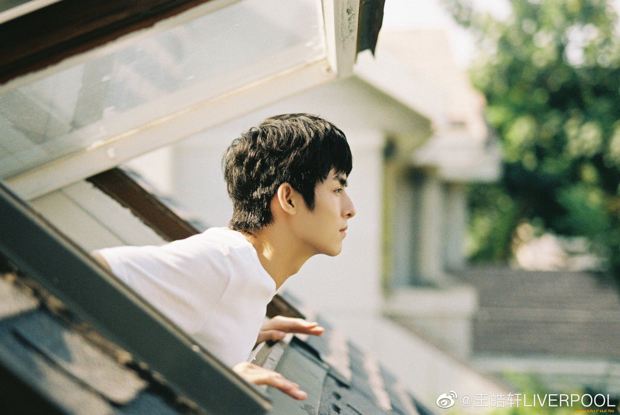 мужчины, wang, hao, xuan, ван, хао, сюань, хаосюань