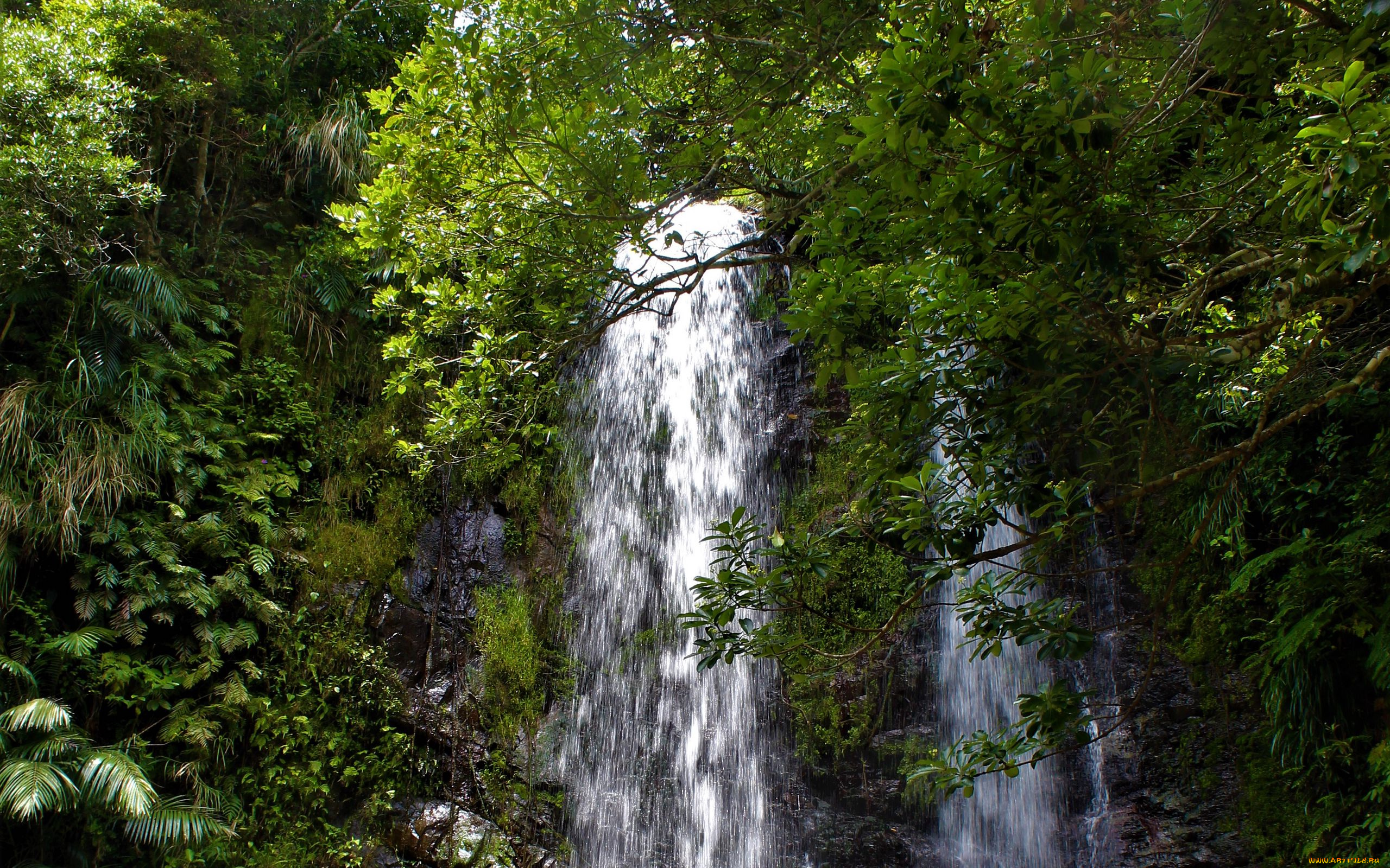 природа, водопады, поток, водопад, вода