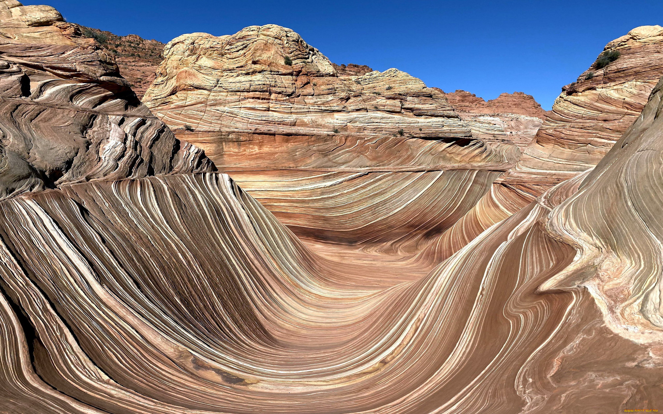 the, wave, arizona, coyote, buttes, north, природа, горы, the, wave, coyote, buttes, north