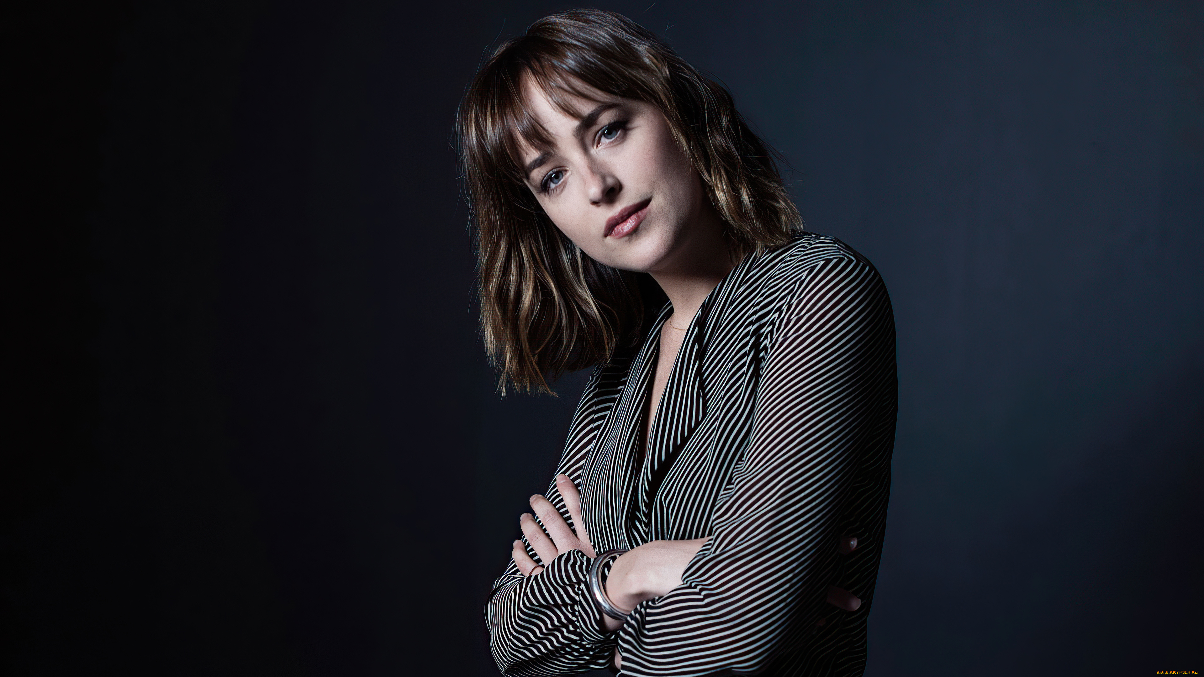 девушки, dakota, johnson, шатенка, блузка