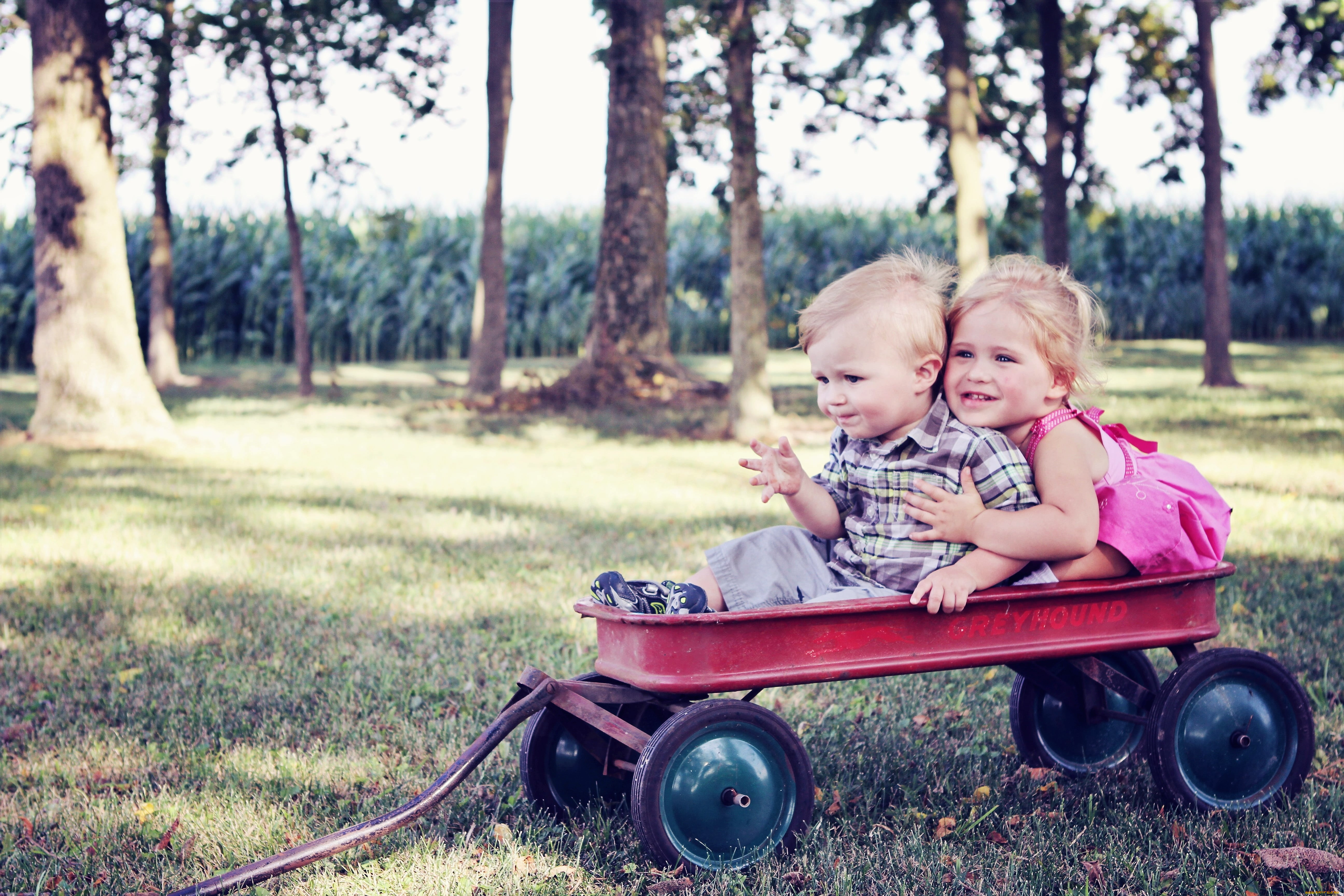 разное, дети, тележка