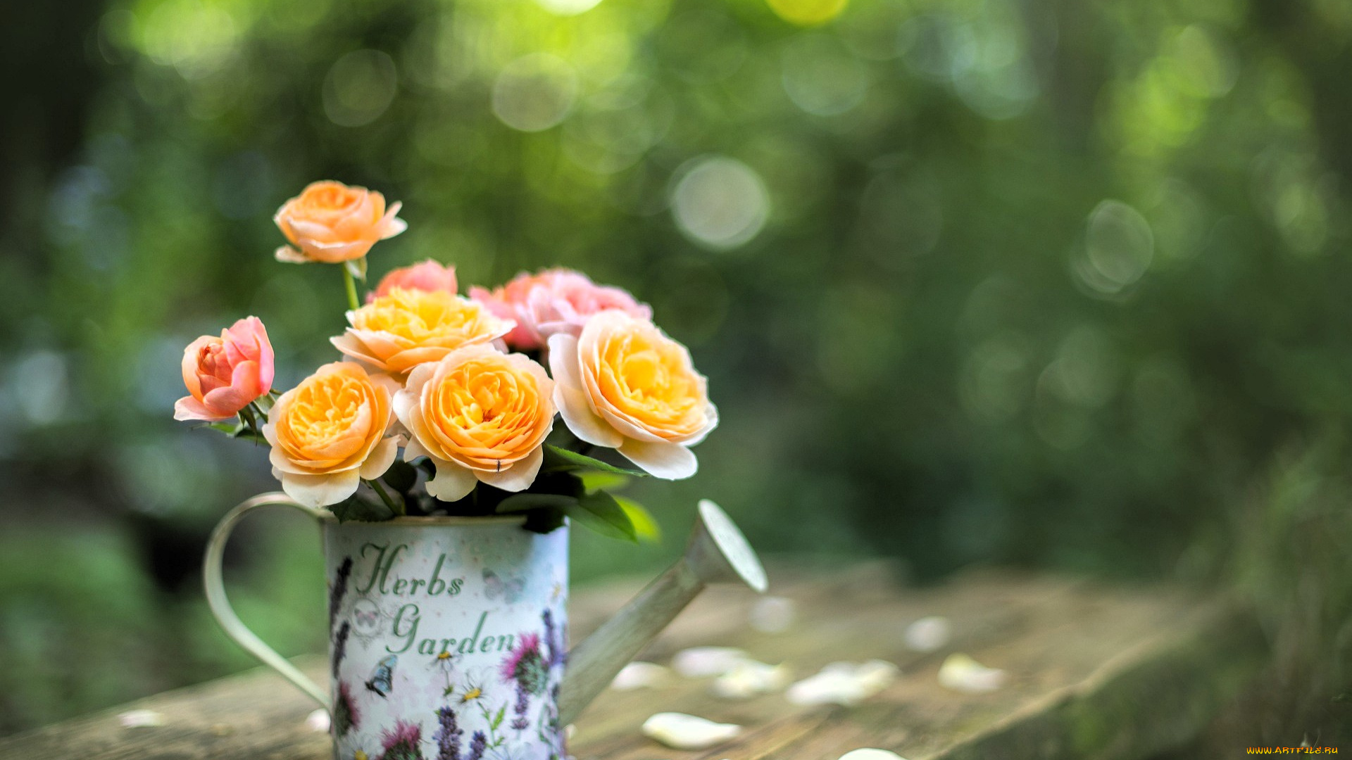 цветы, букеты, , композиции, букет, лейка, стол, лепестки