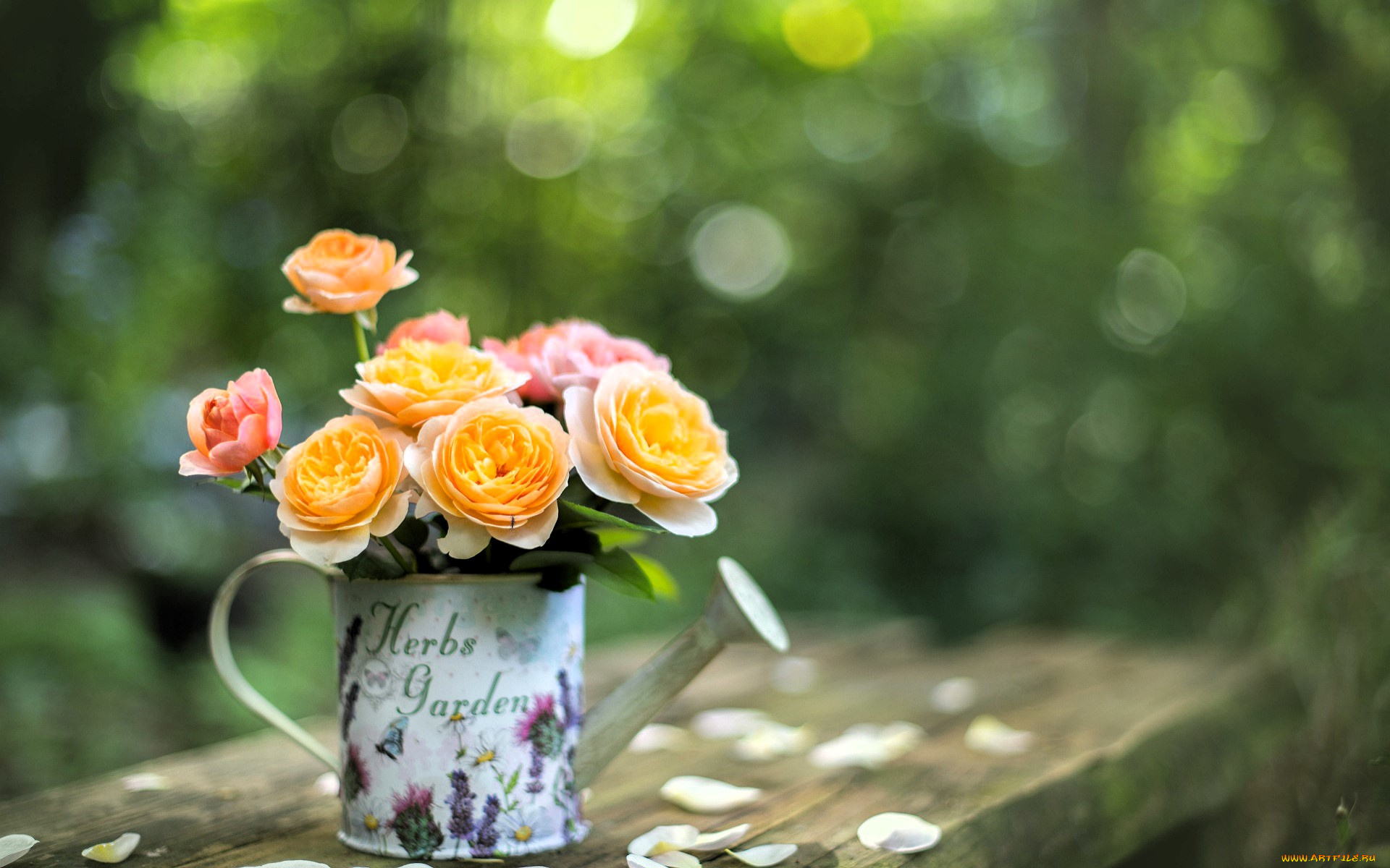 цветы, букеты, , композиции, букет, лейка, стол, лепестки