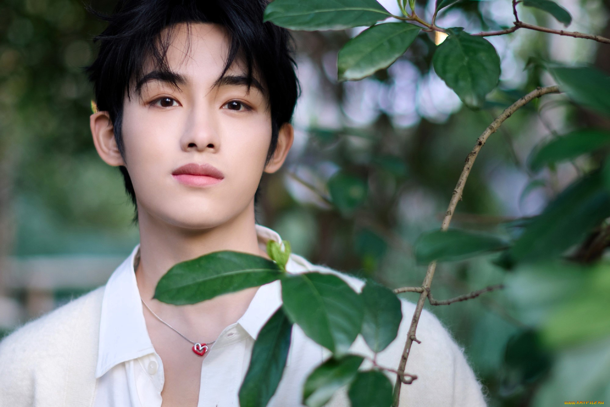 winwin-, dong, si, cheng, мужчины, -unsort, актер, рубашка, ветки