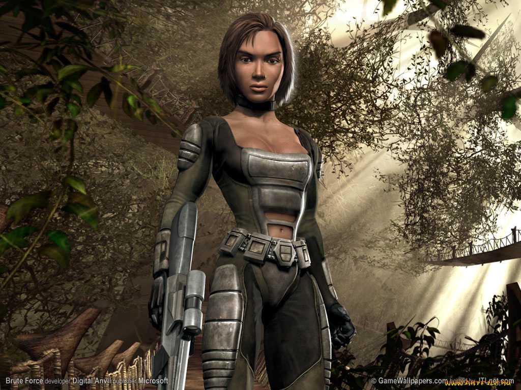 brute, force, видео, игры