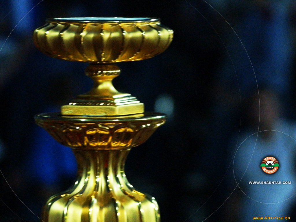 fk, shakhter, спорт, футбол