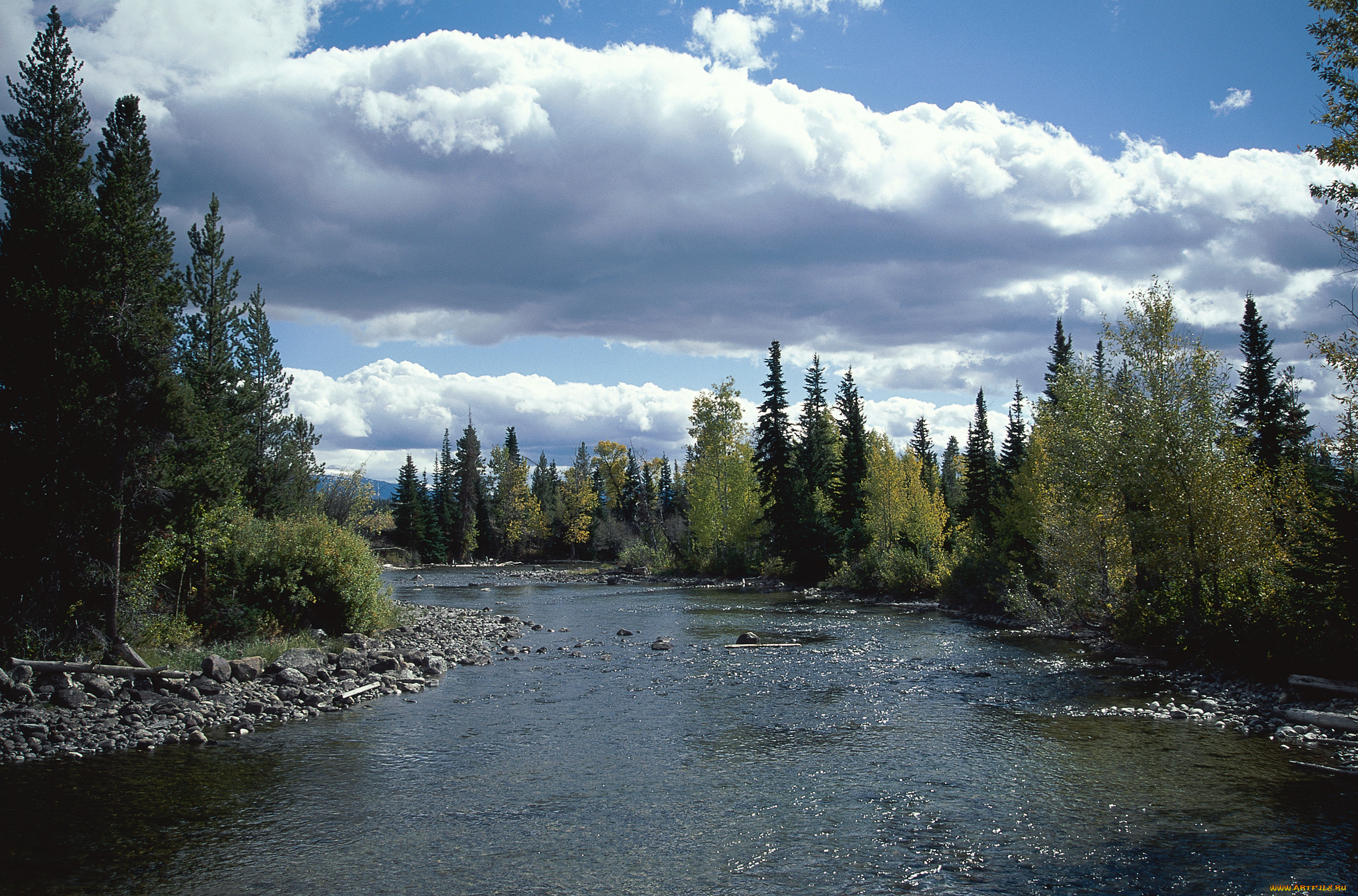 природа, реки, озера