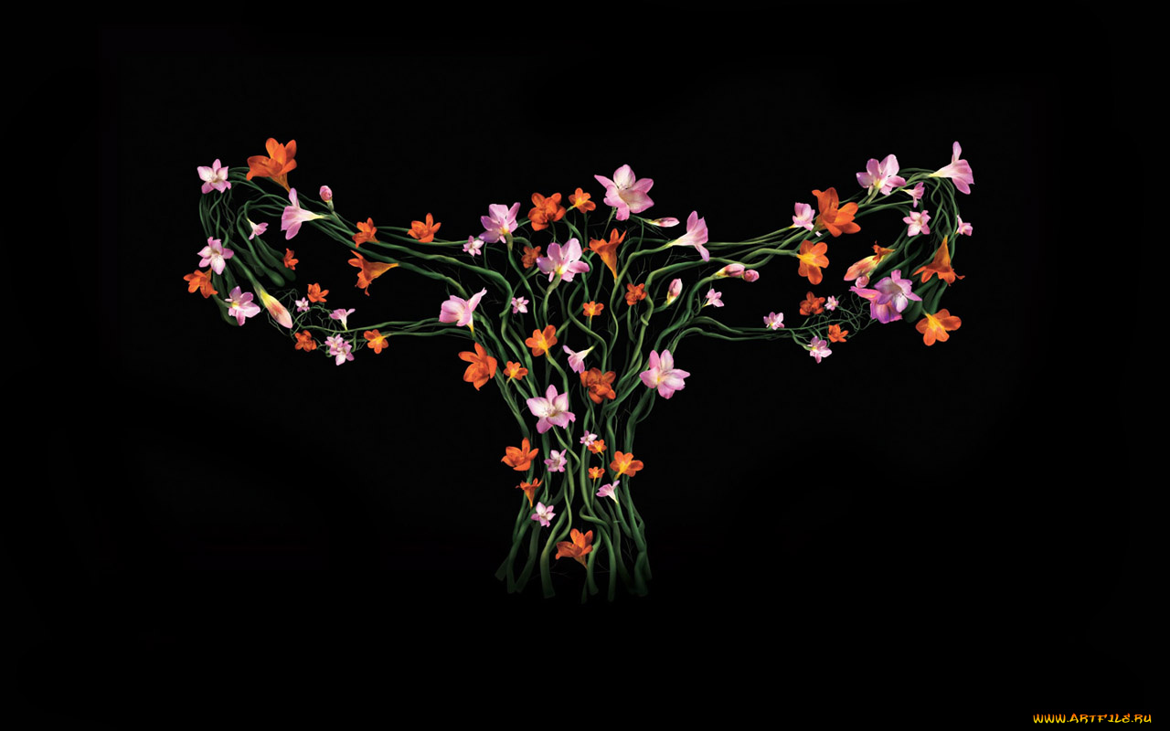 юмор, приколы